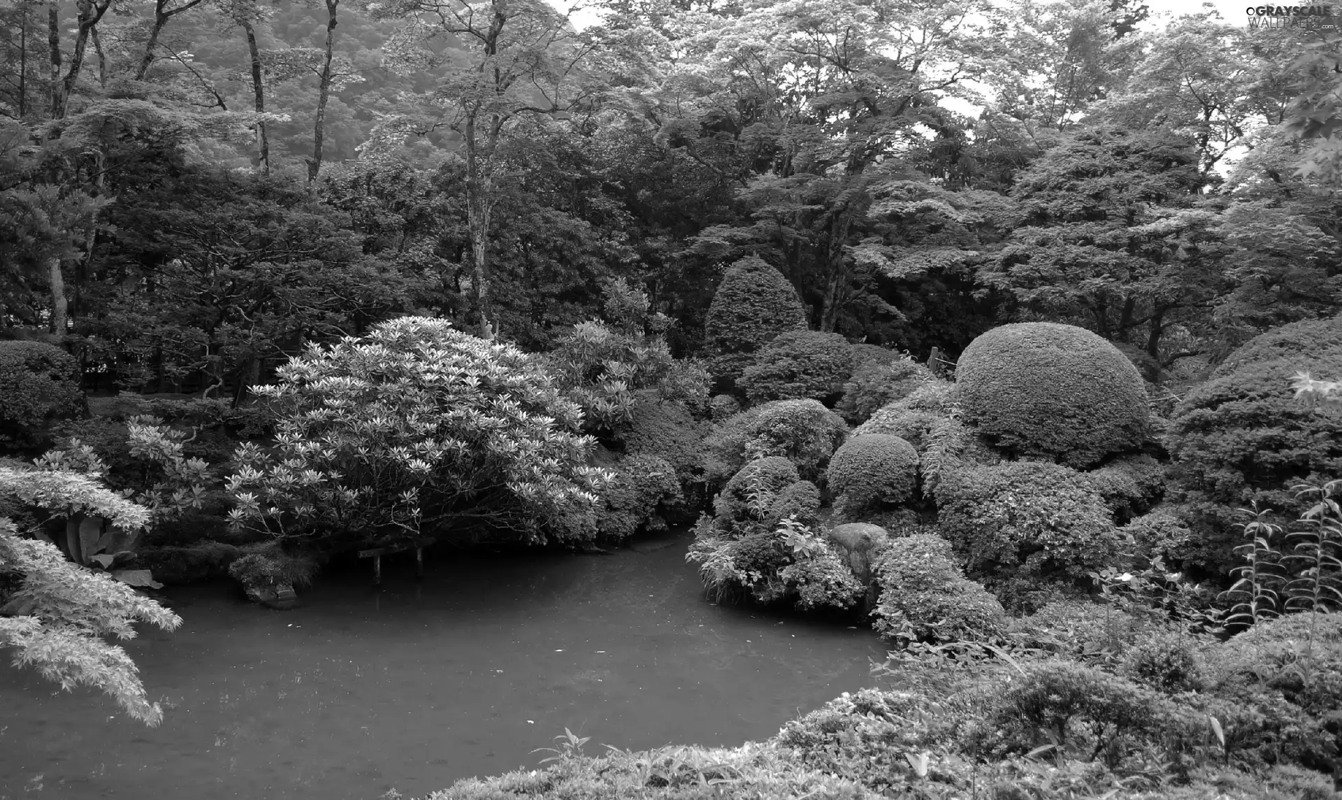 Garden, trees, viewes, Pond - car