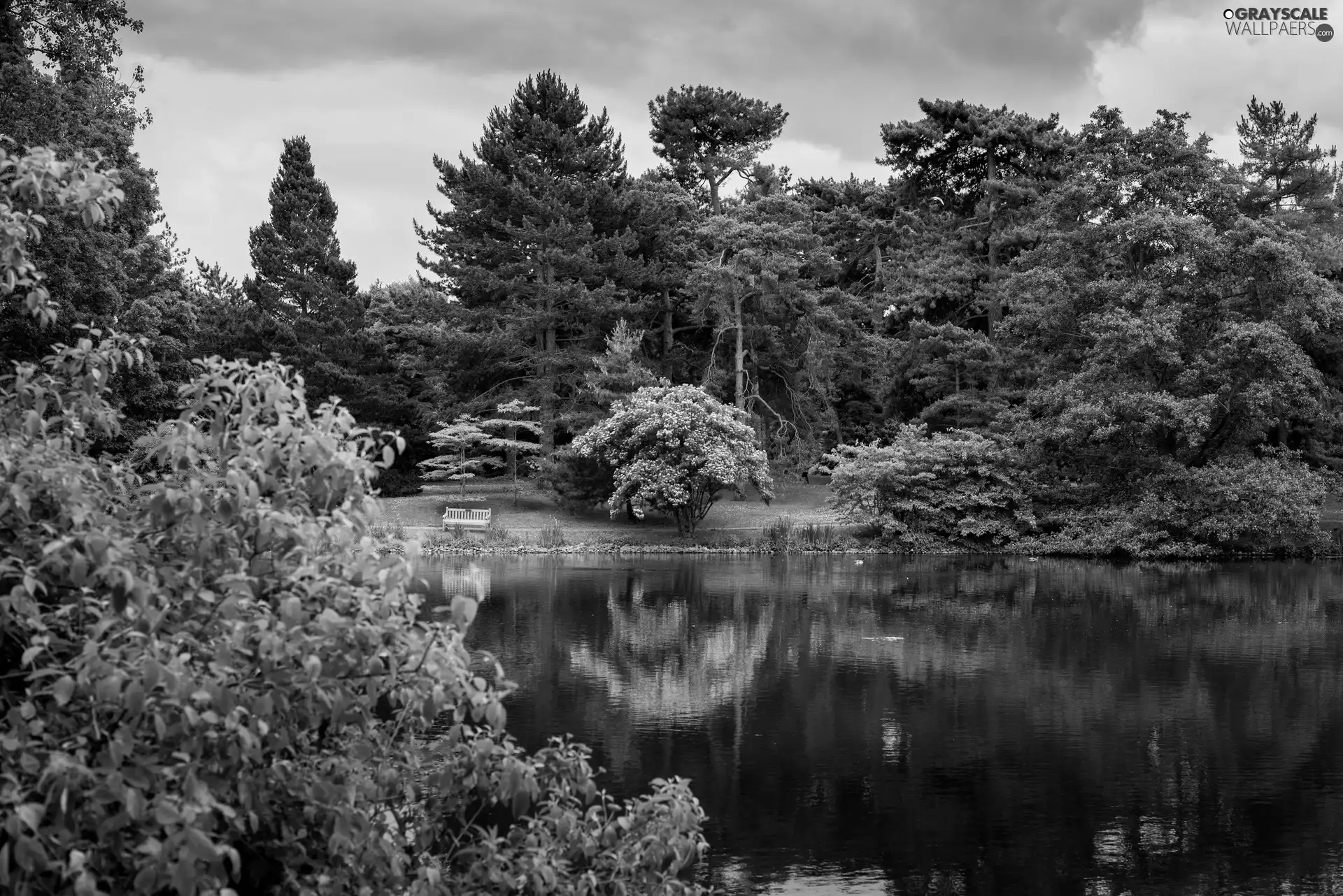 Park, trees, viewes, Pond - car