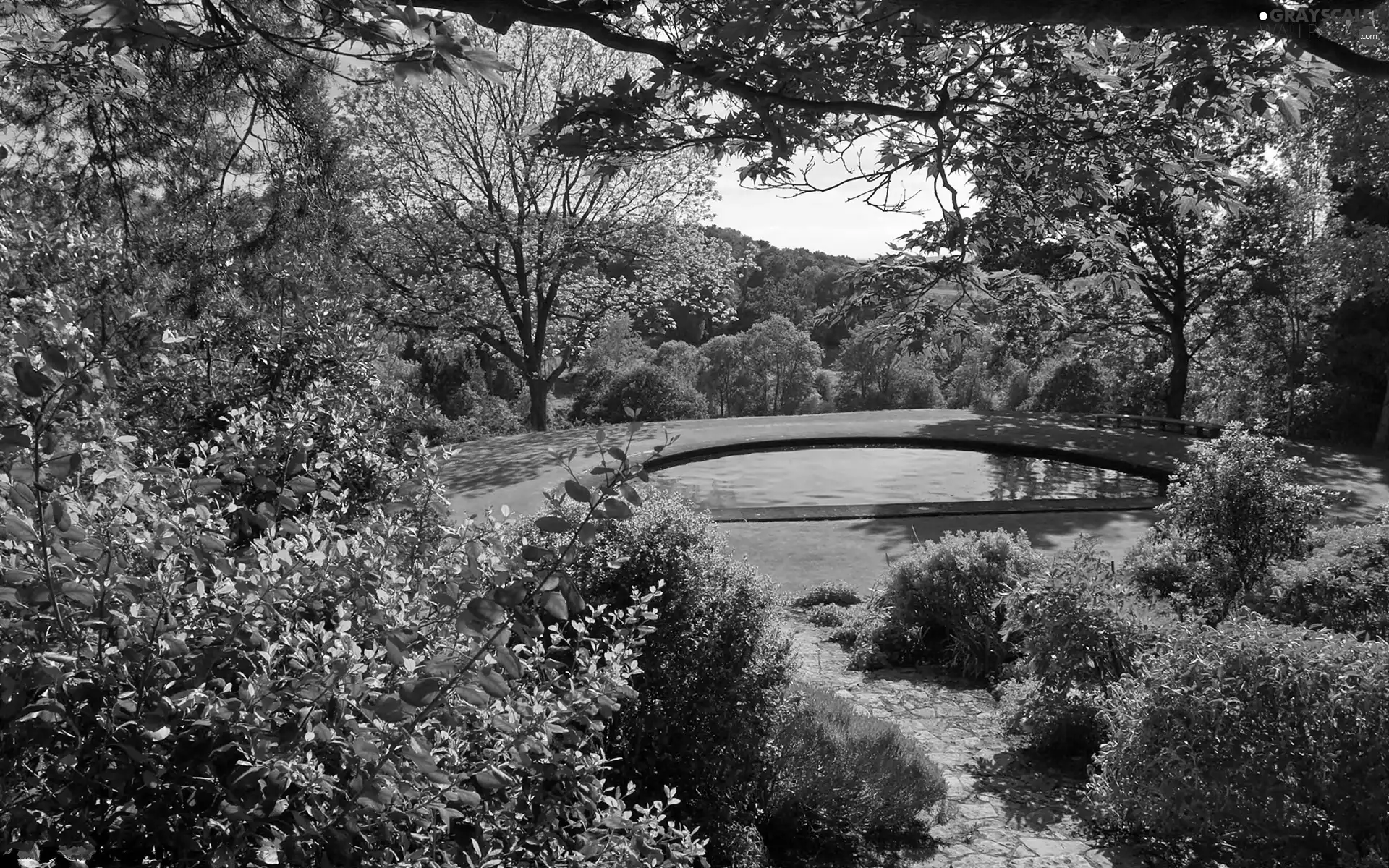 Park, trees, viewes, Pond - car