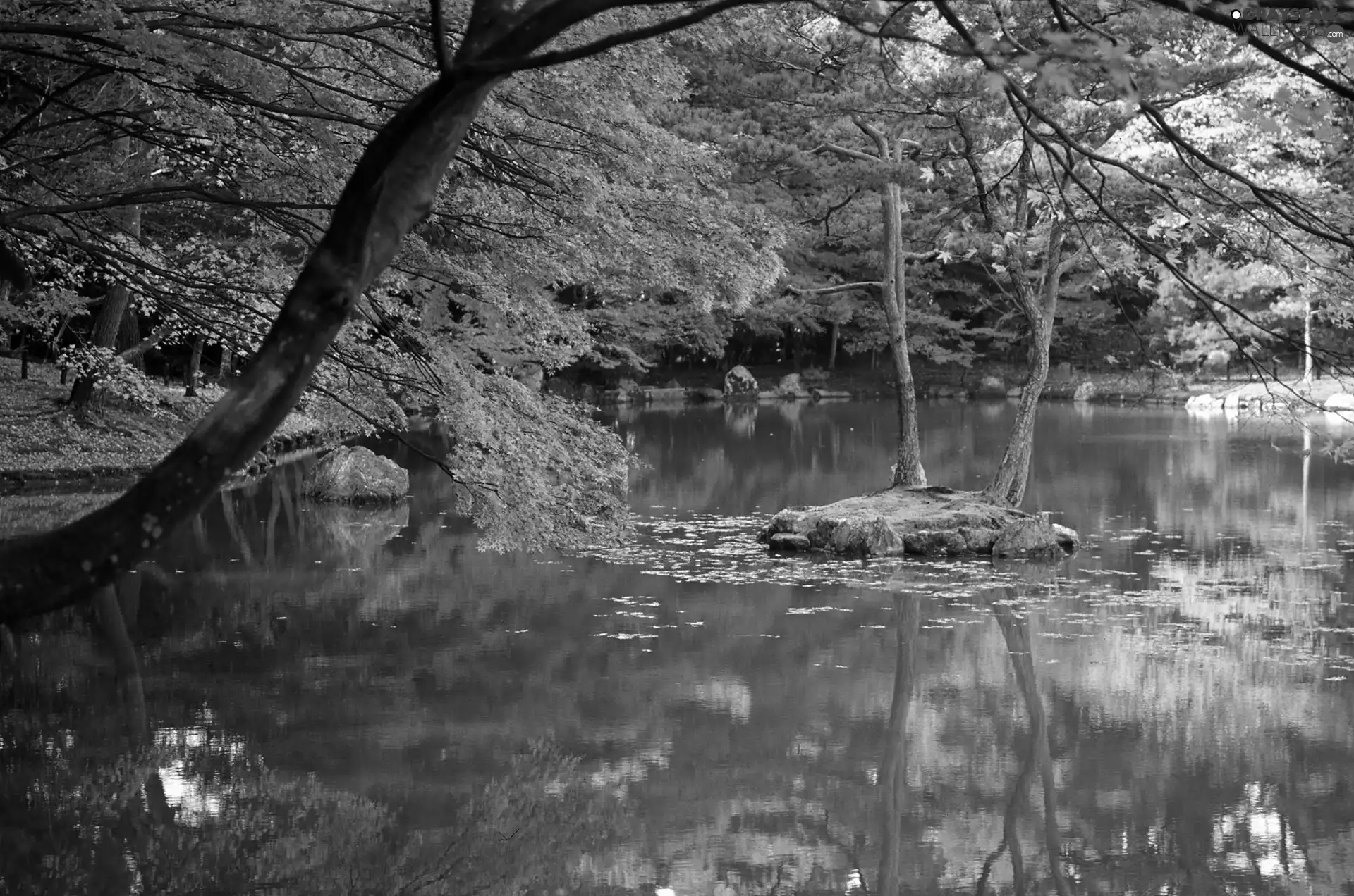 viewes, reflection, lake, trees, autumn