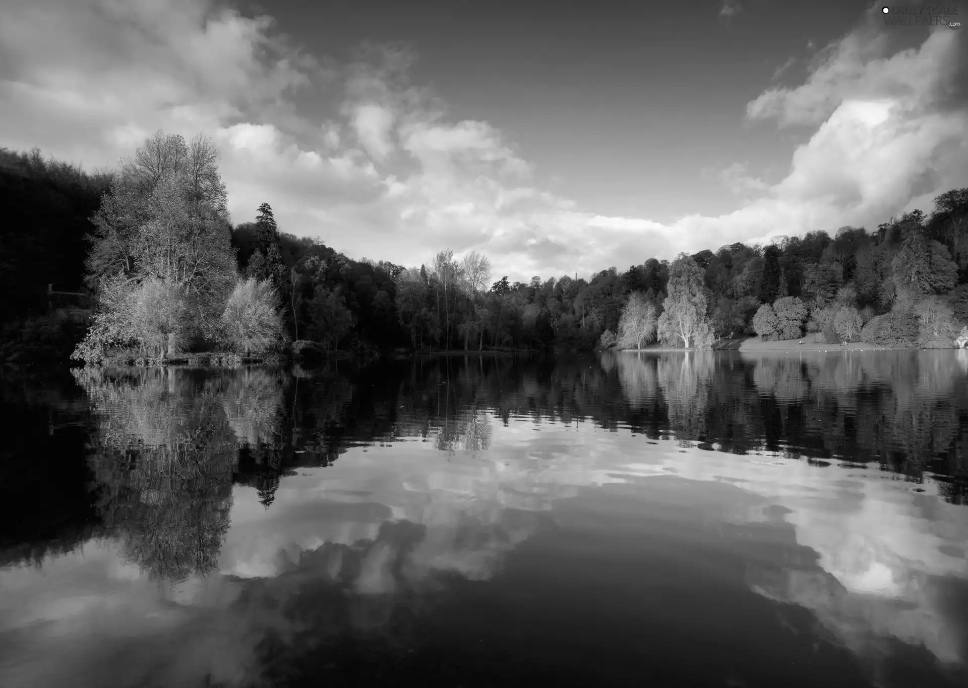 viewes, reflection, lake, trees, autumn