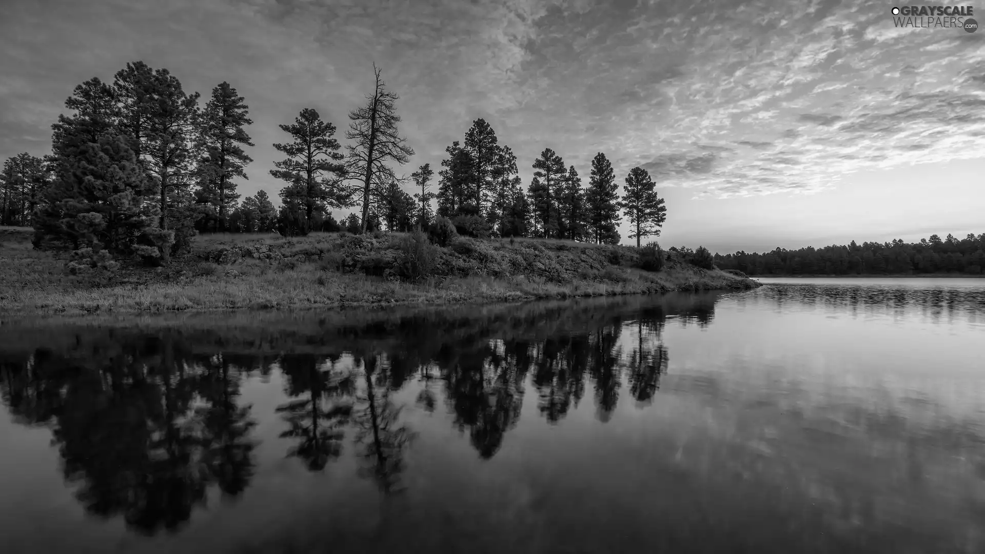 Sky, lake, reflection, trees, clouds, color, Sunrise, viewes