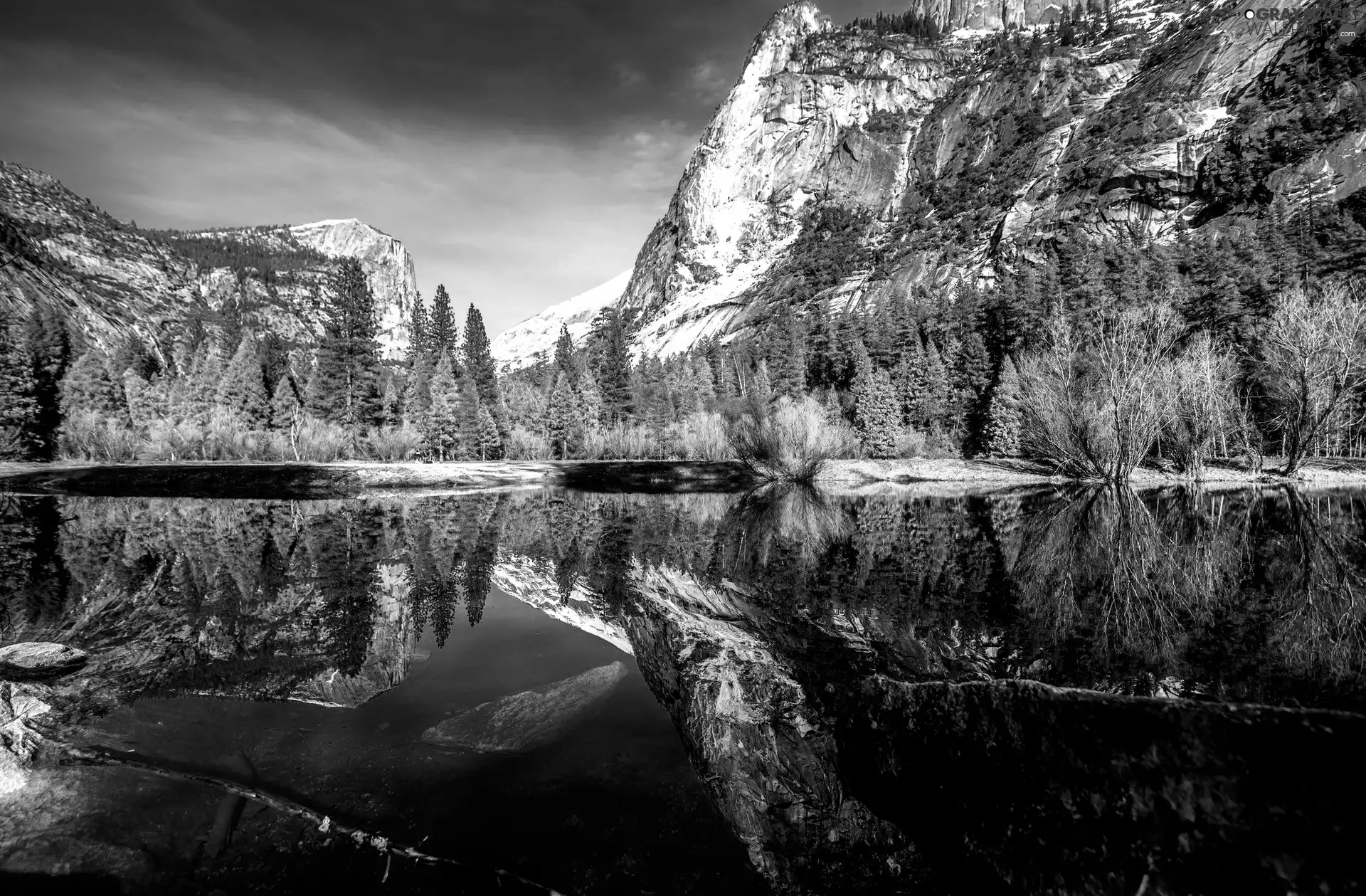 viewes, reflection, Mountains, trees, lake