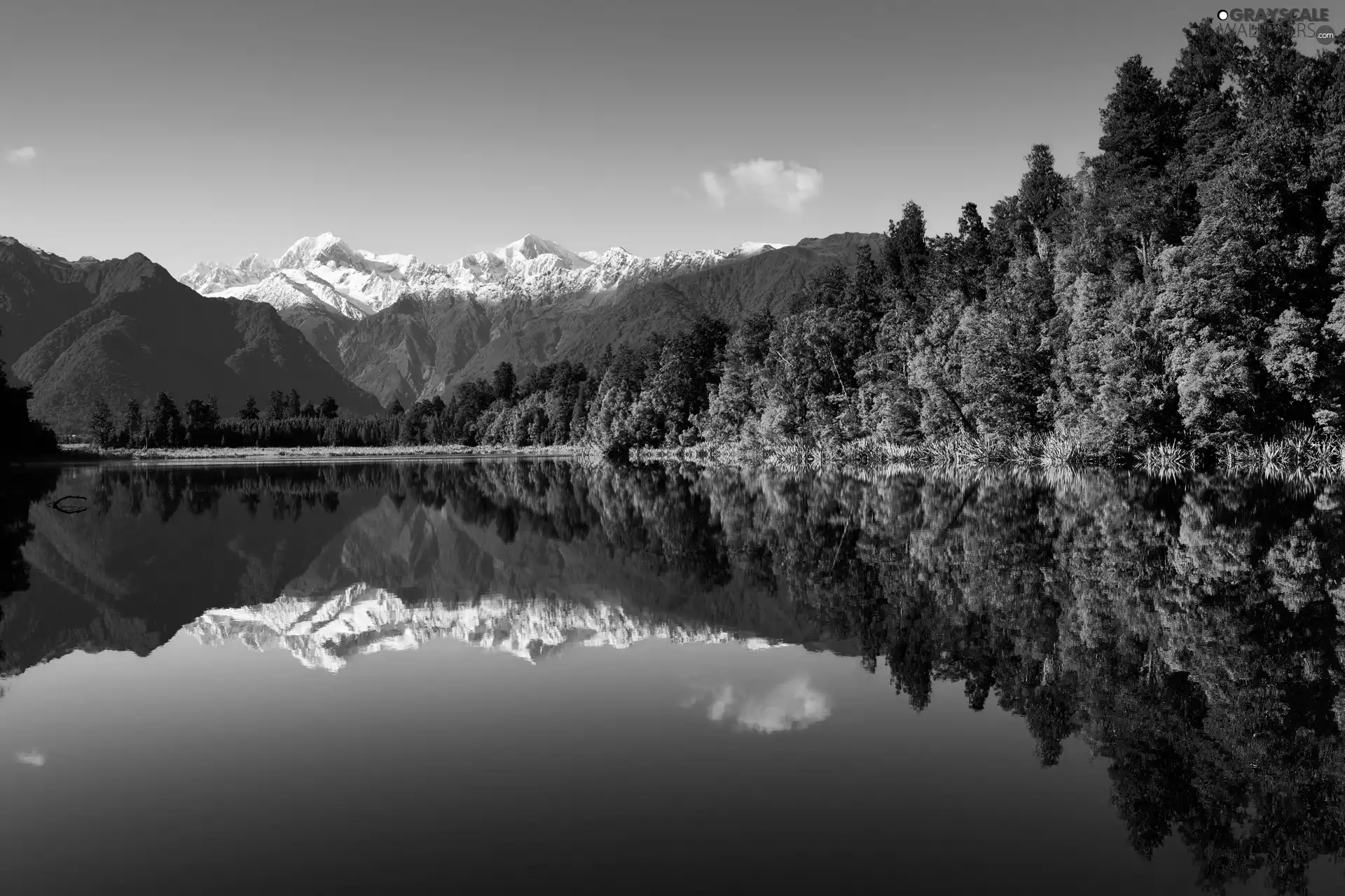 viewes, reflection, lake, trees, Mountains