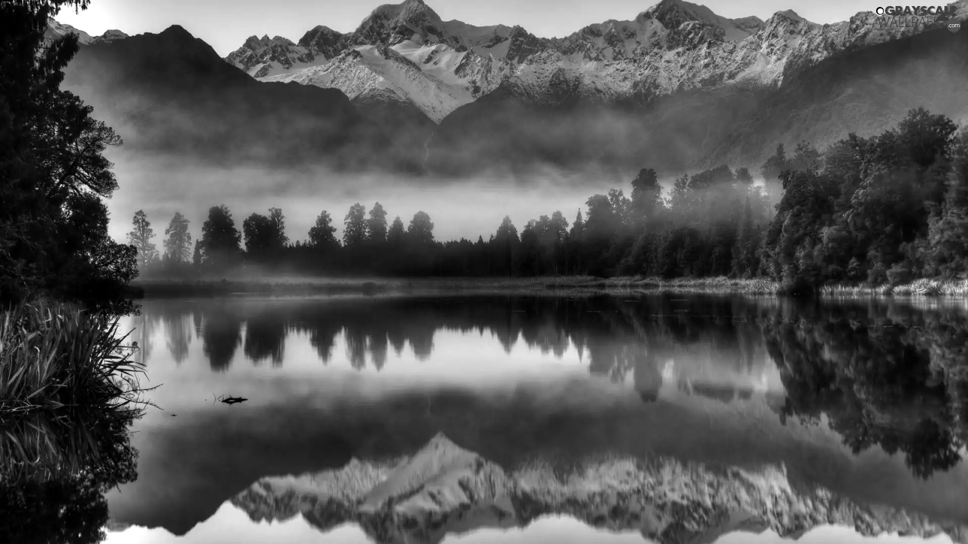 viewes, reflection, lake, trees, Mountains