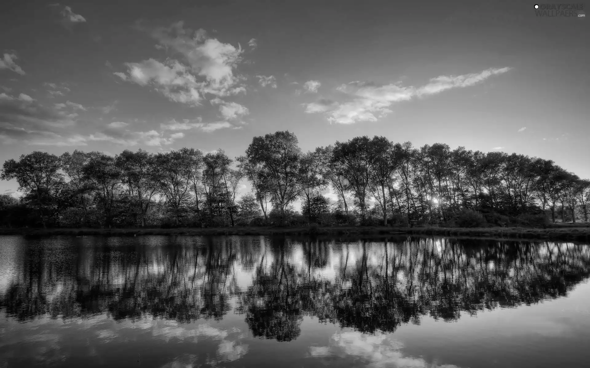 trees, sun, clouds, River, west, viewes, reflection