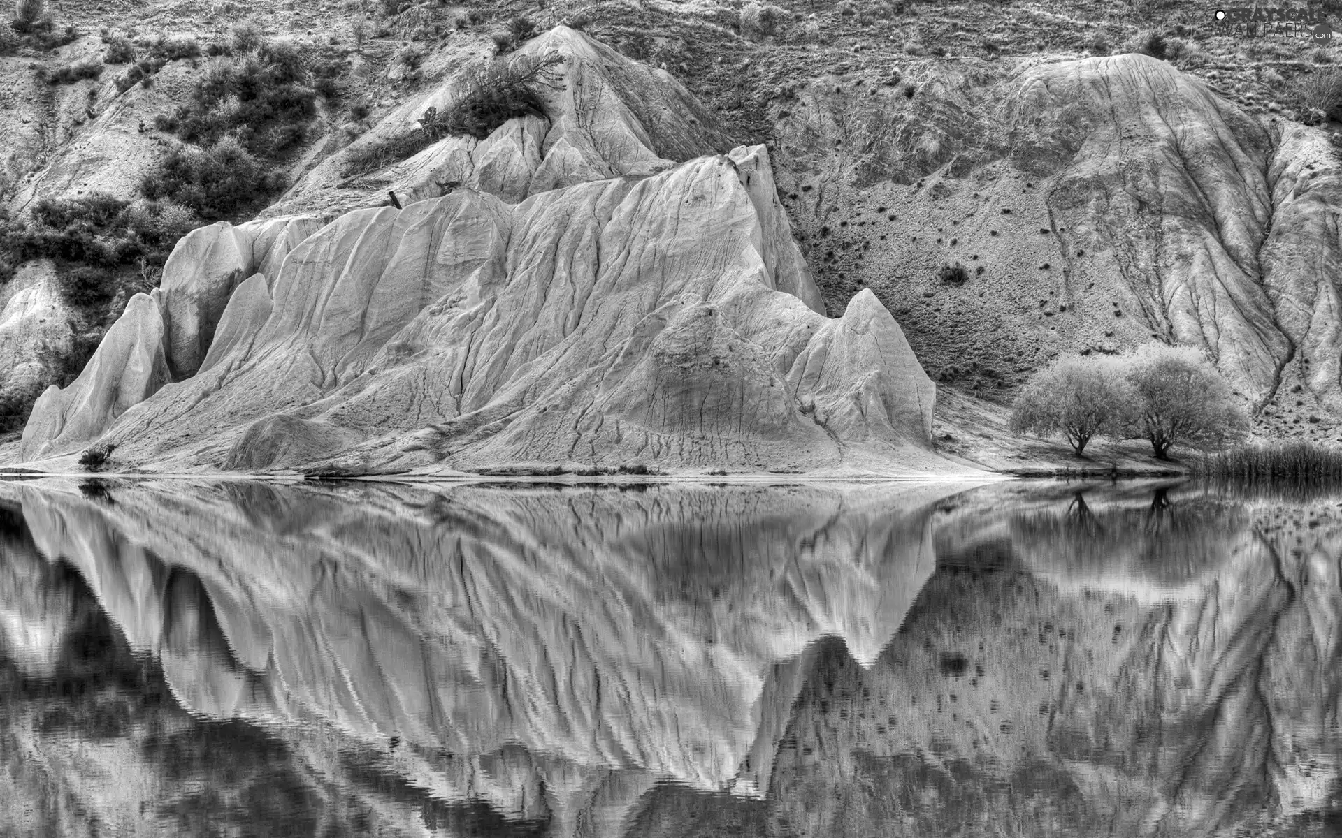 viewes, reflection, lake, trees, rocks