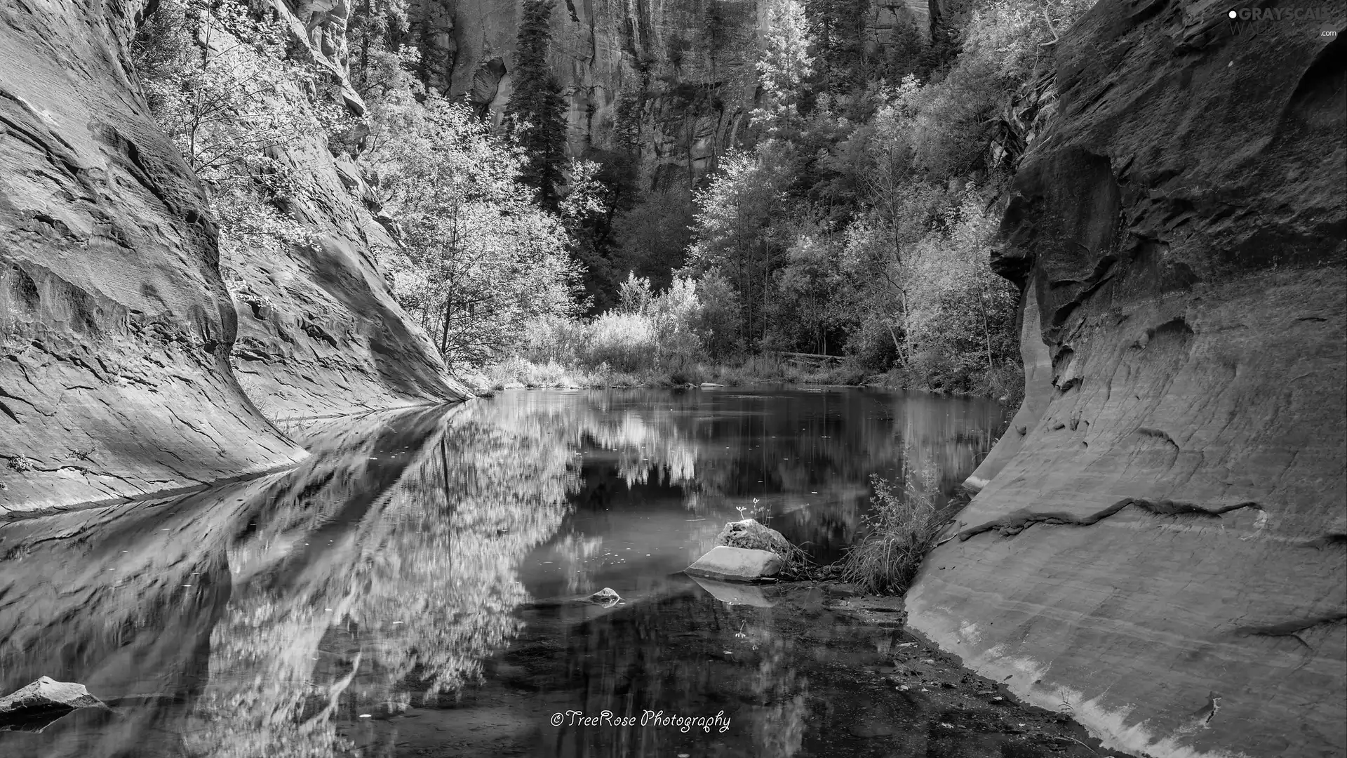Arizona, The United States, Sedona, rocks, viewes, reflection, River, trees, canyon