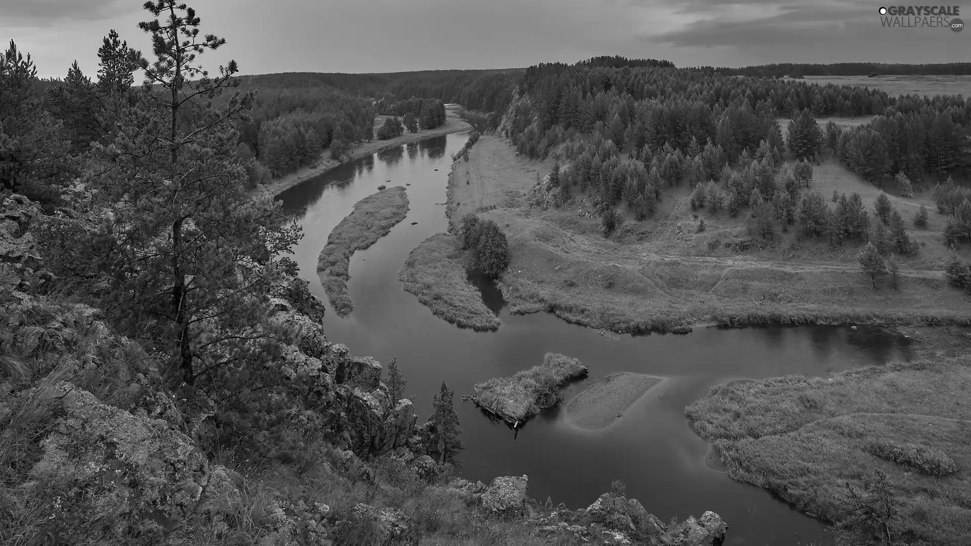 trees, viewes, River, rocks, summer