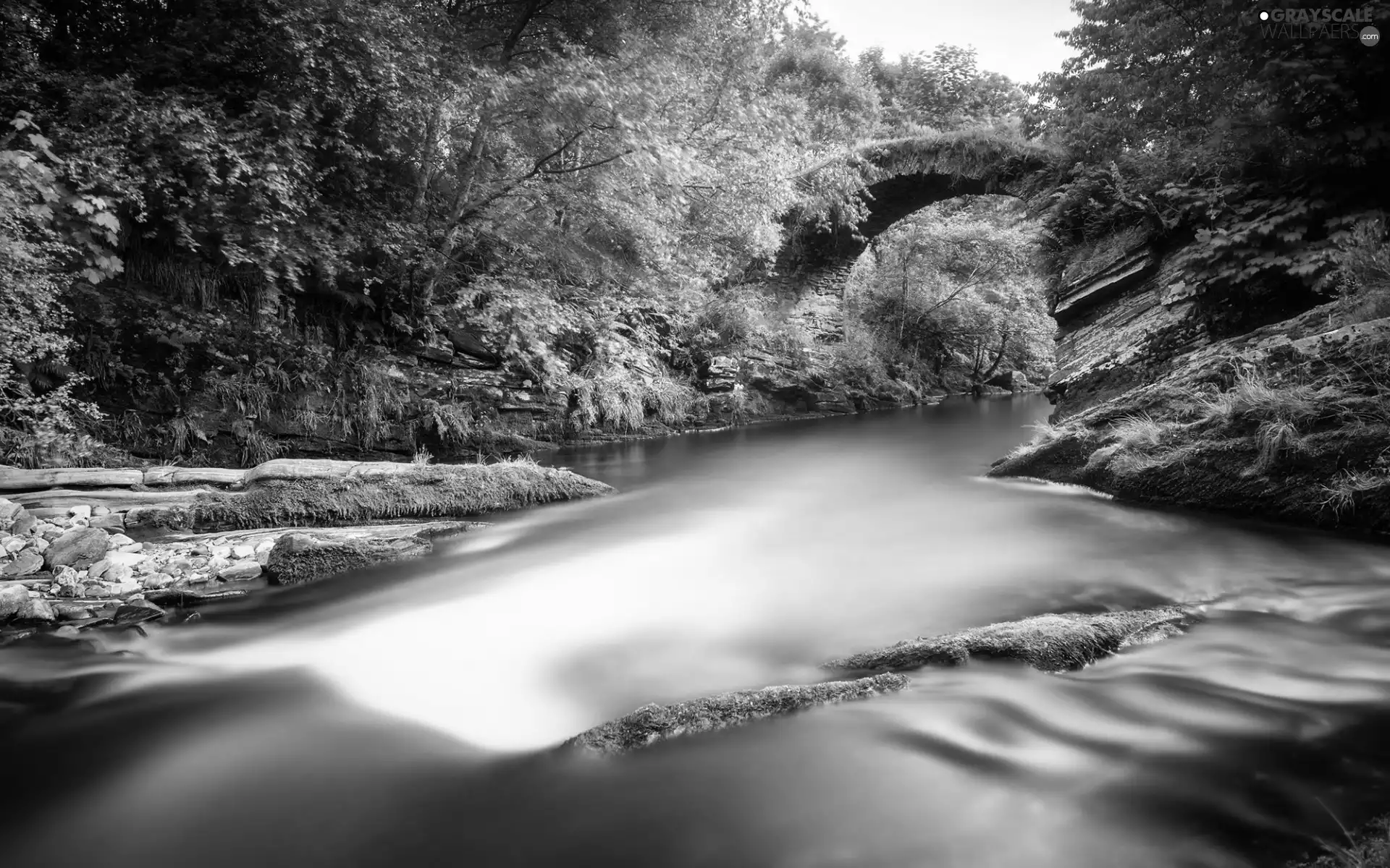 River, trees, viewes, bridge