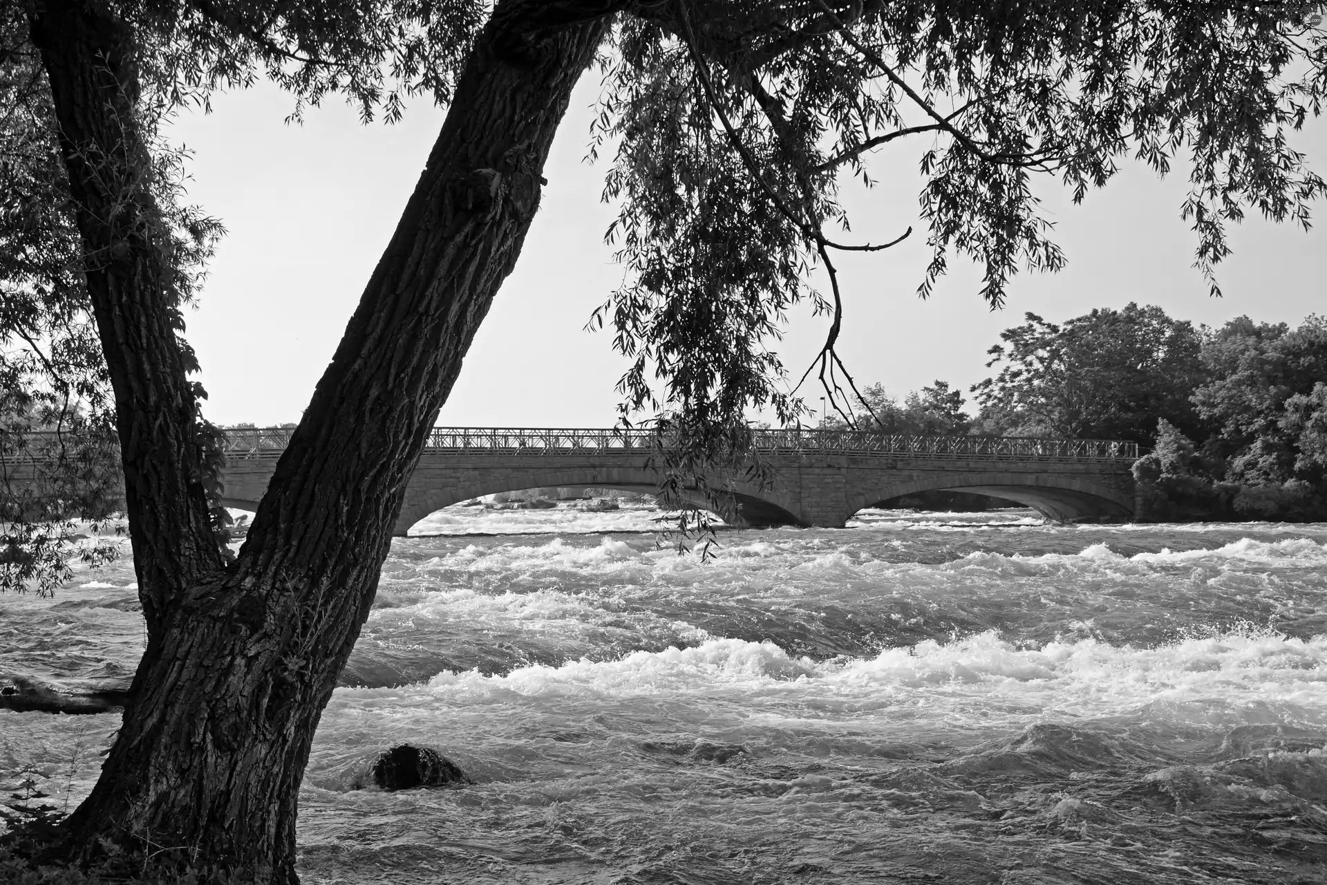 River, trees, viewes, bridge