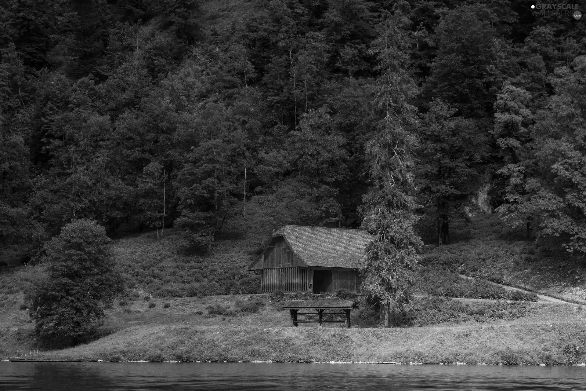 cote, forest, trees, viewes, Pasturage, River