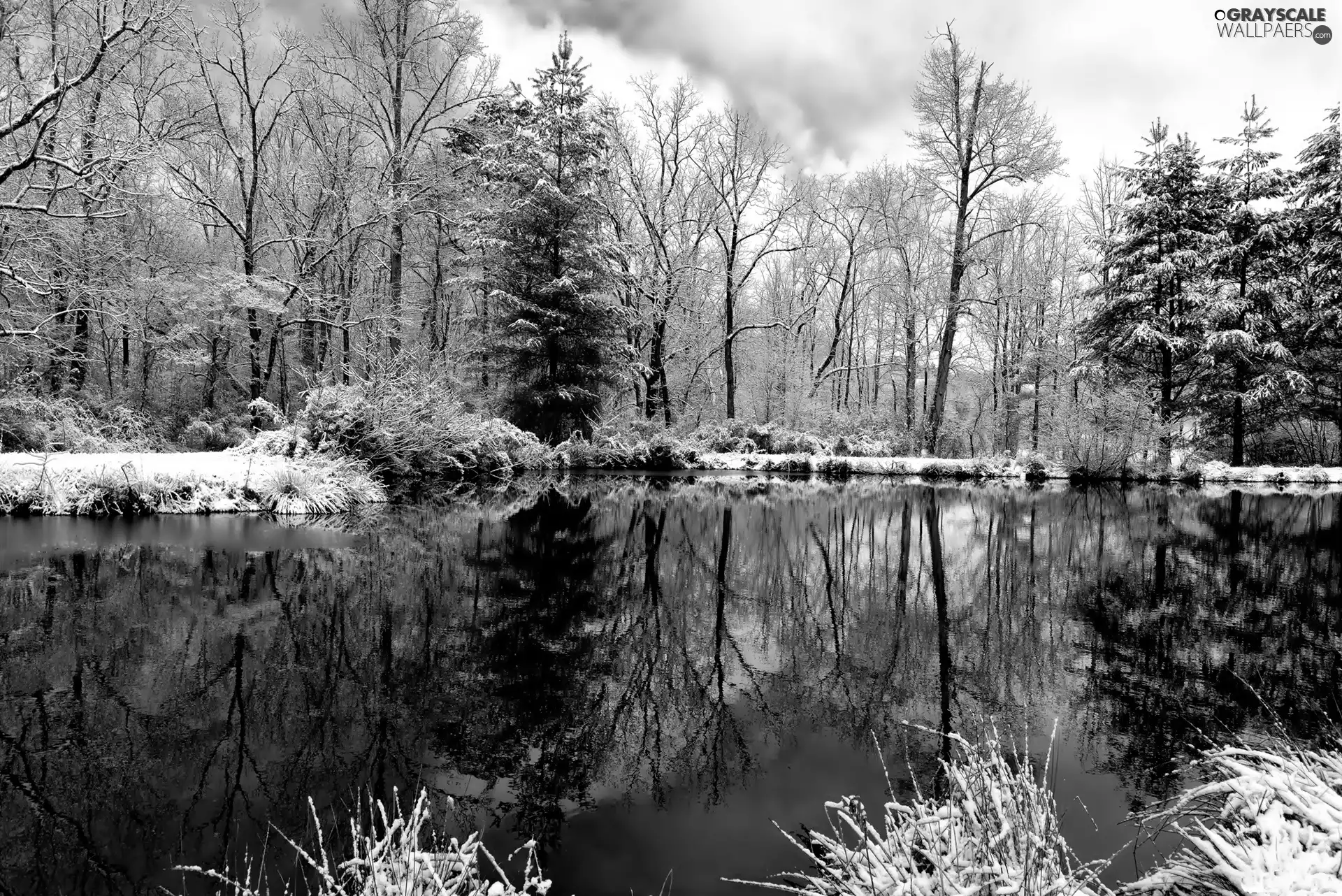 River, trees, viewes, frosty