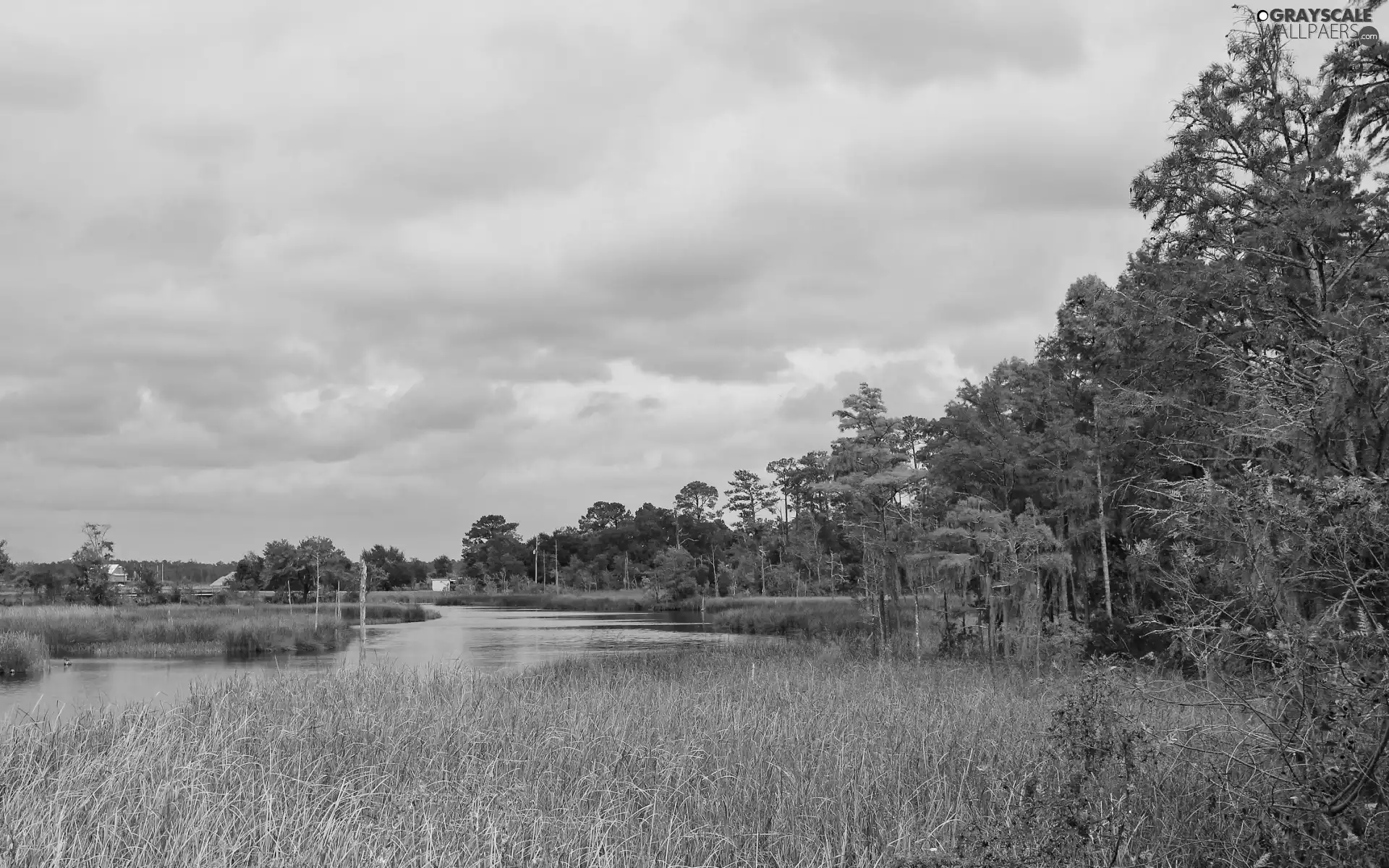 River, trees, viewes, grass