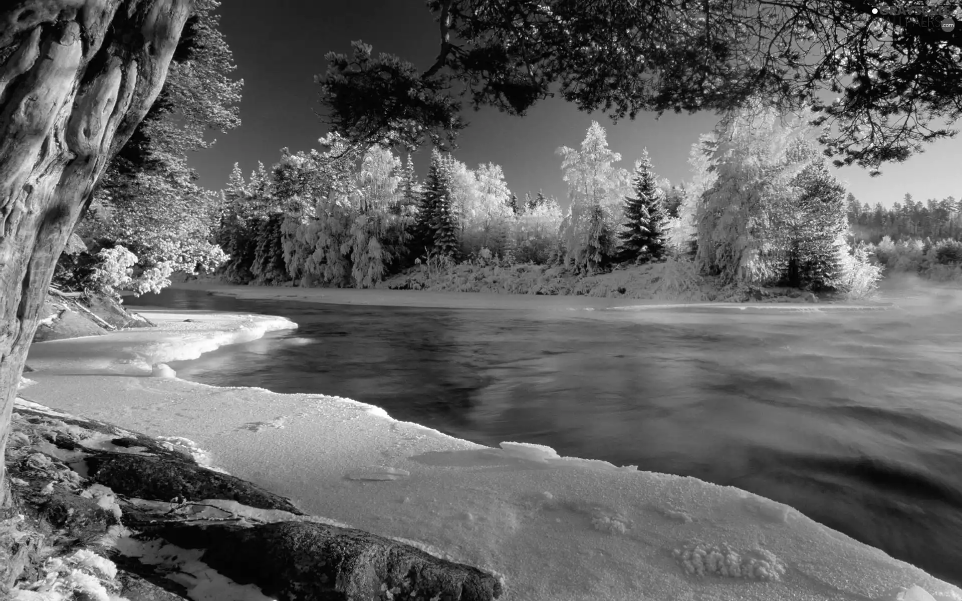 River, trees, viewes, Icecream