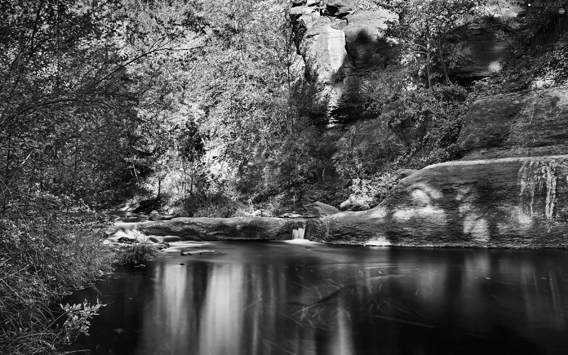 River, trees, viewes, rocks