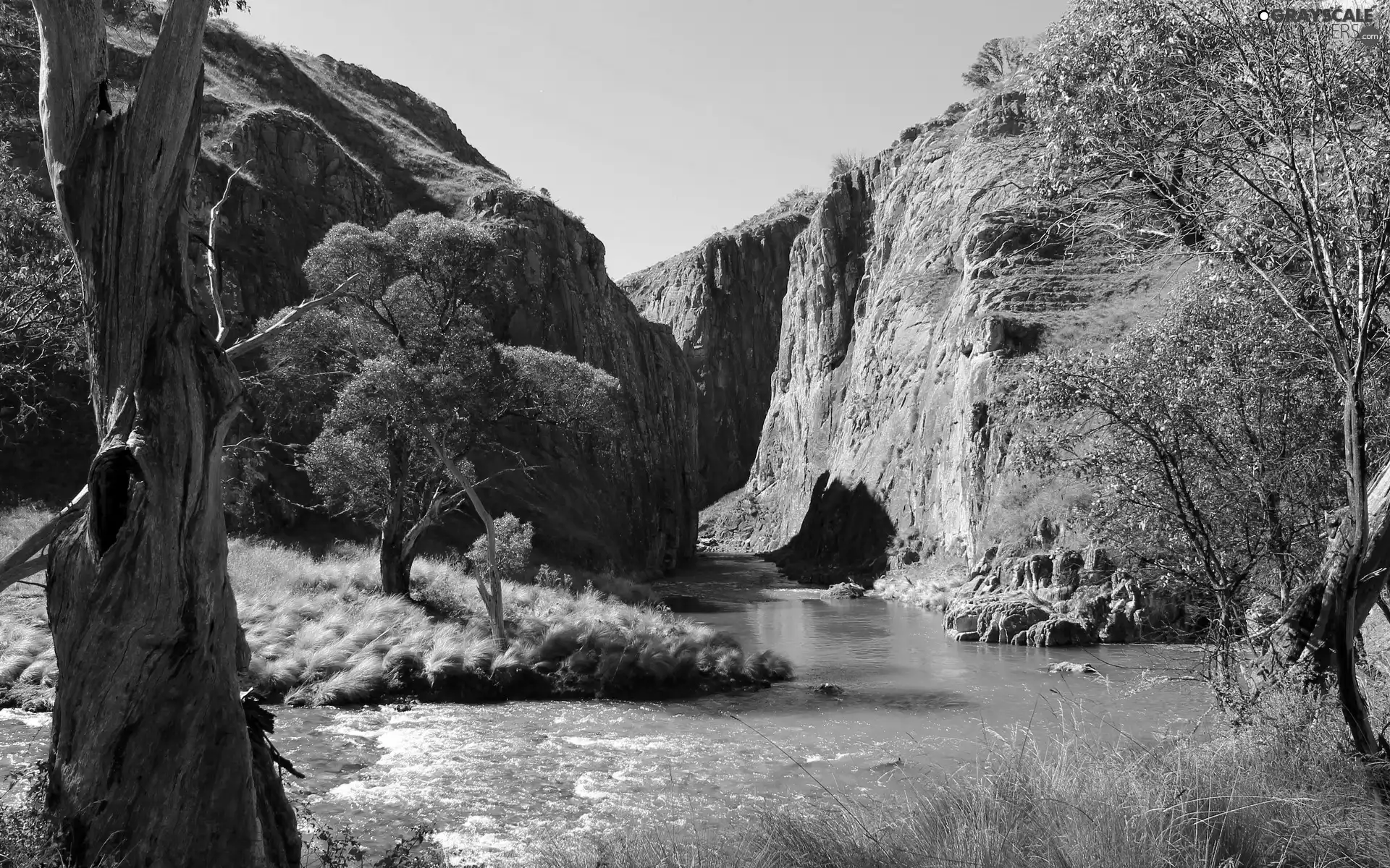 River, trees, viewes, rocks