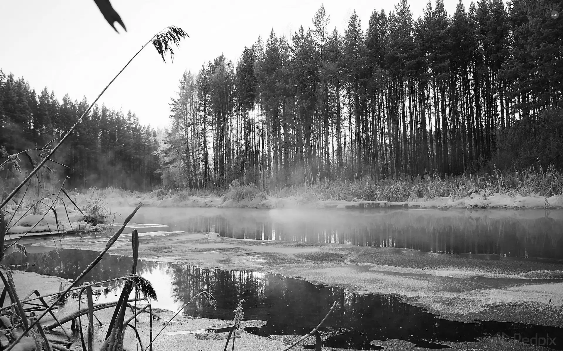 River, trees, viewes, snow