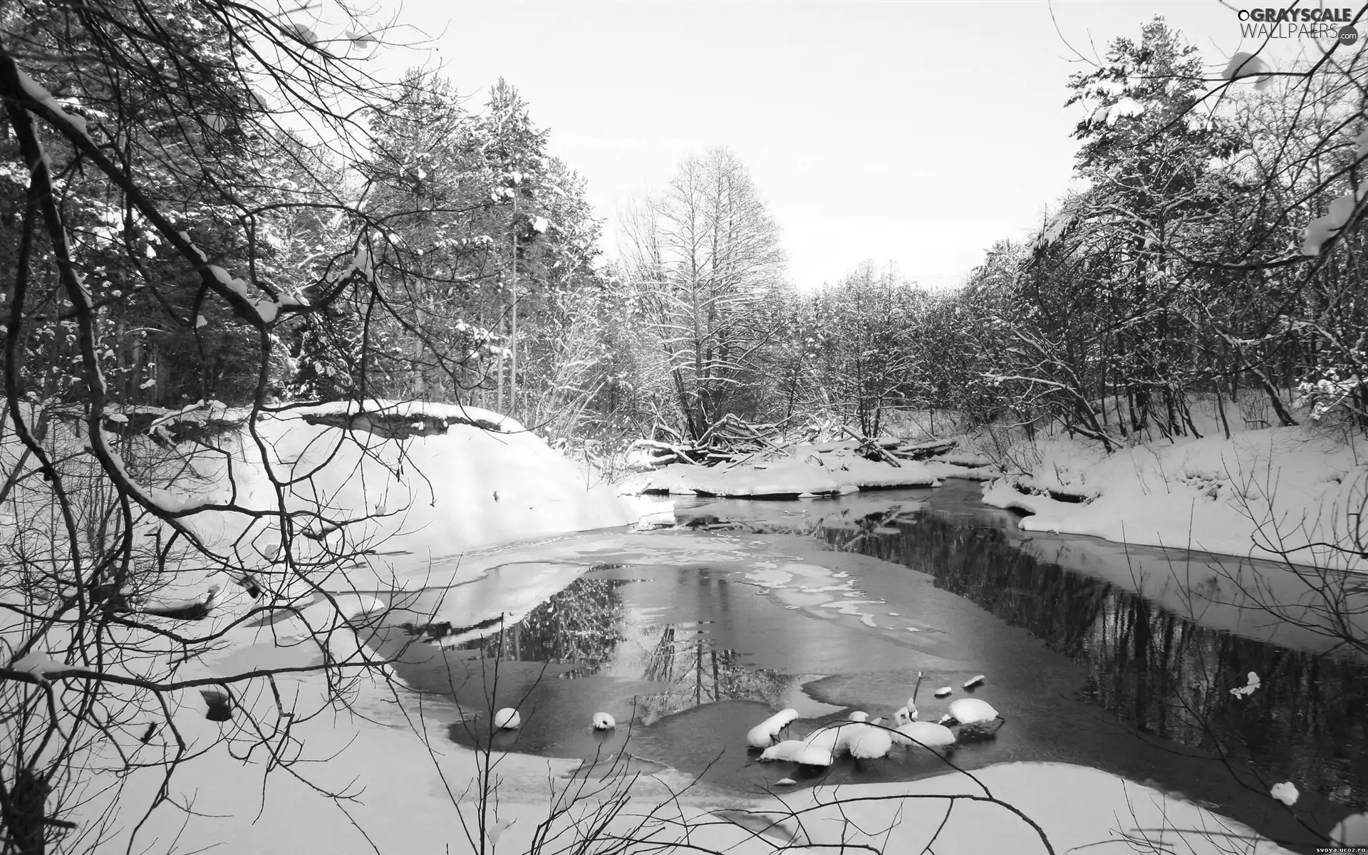 River, trees, viewes, snow