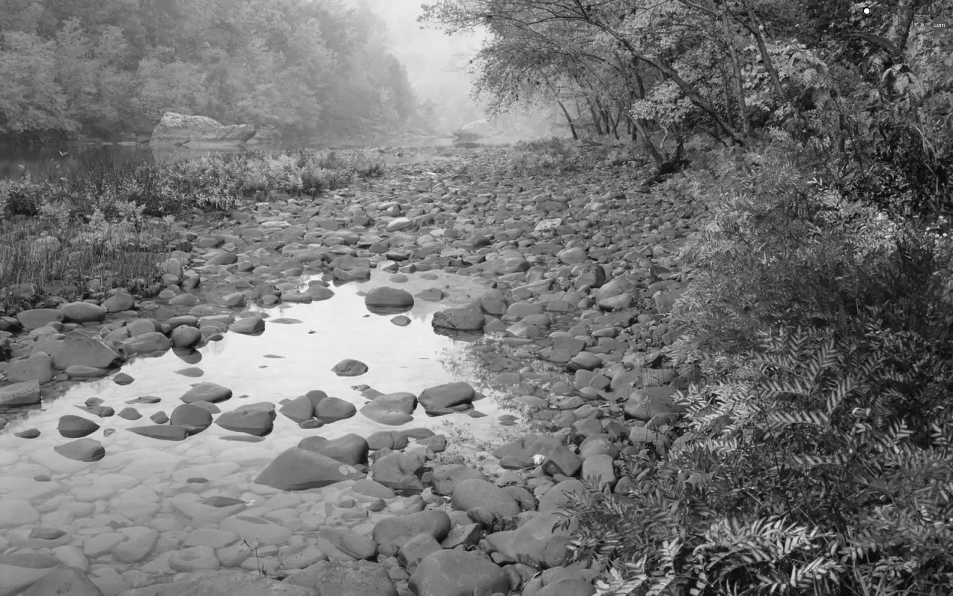 River, trees, viewes, Stones