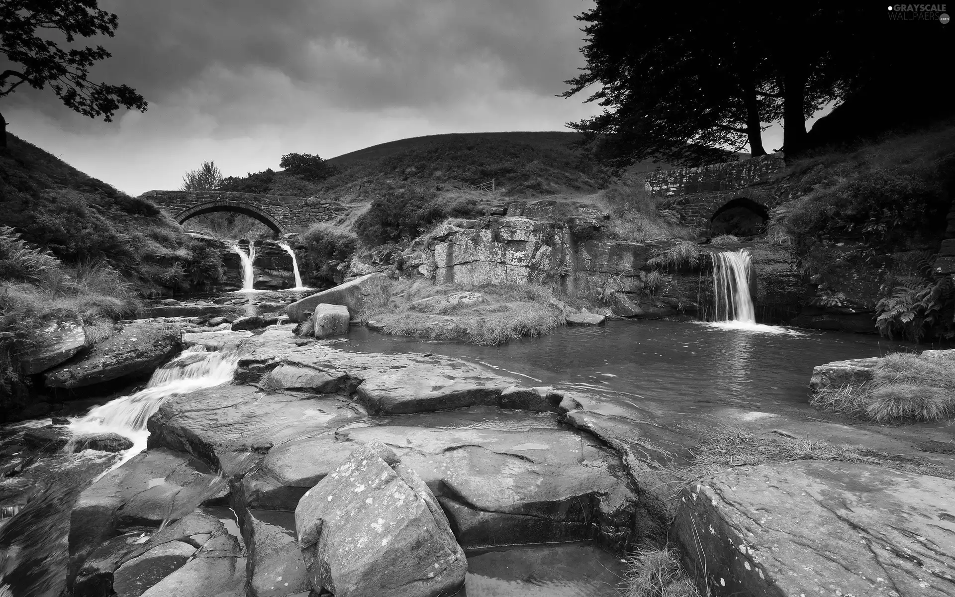 River, trees, viewes, Stones