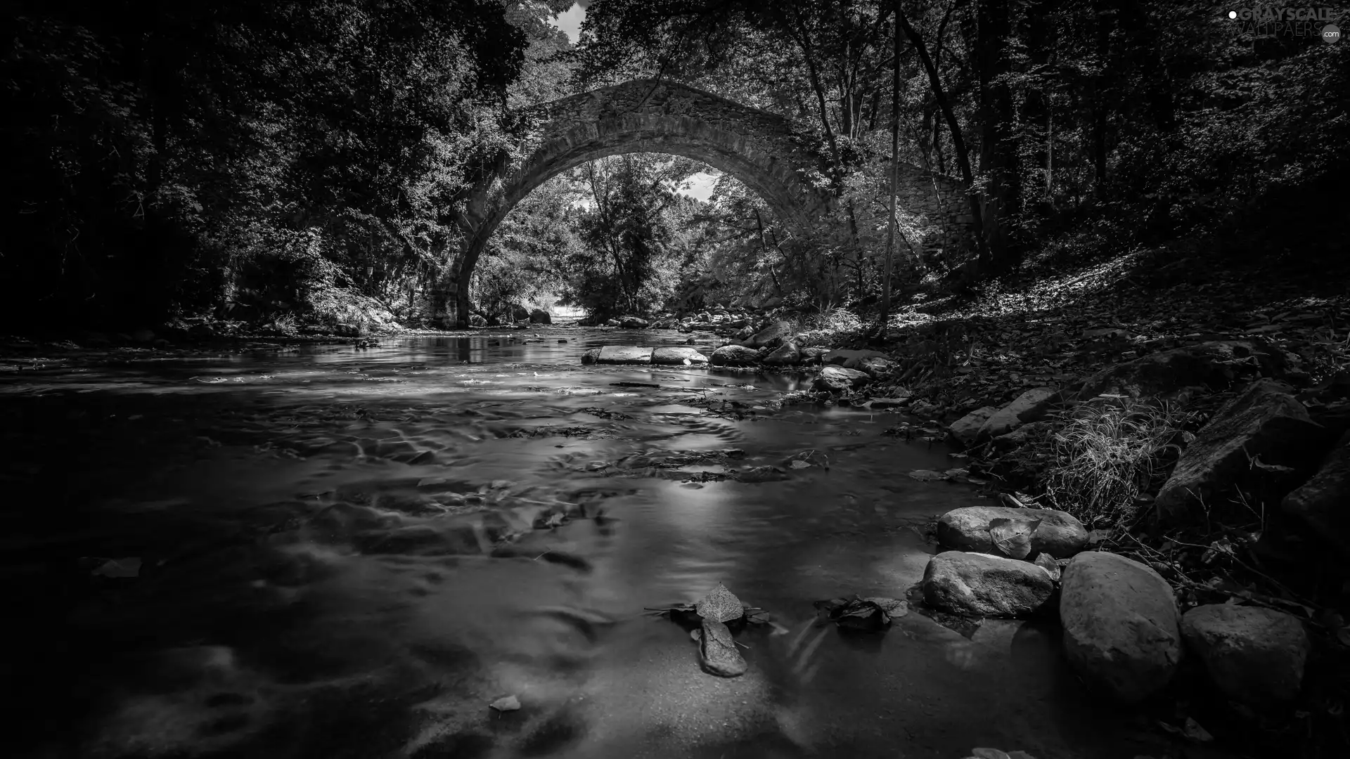 Stones, bridge, trees, viewes, forest, River