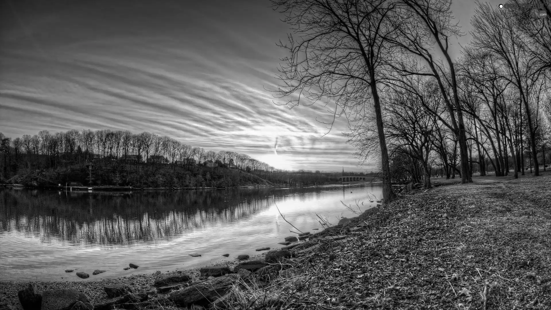 viewes, River, sun, trees, west