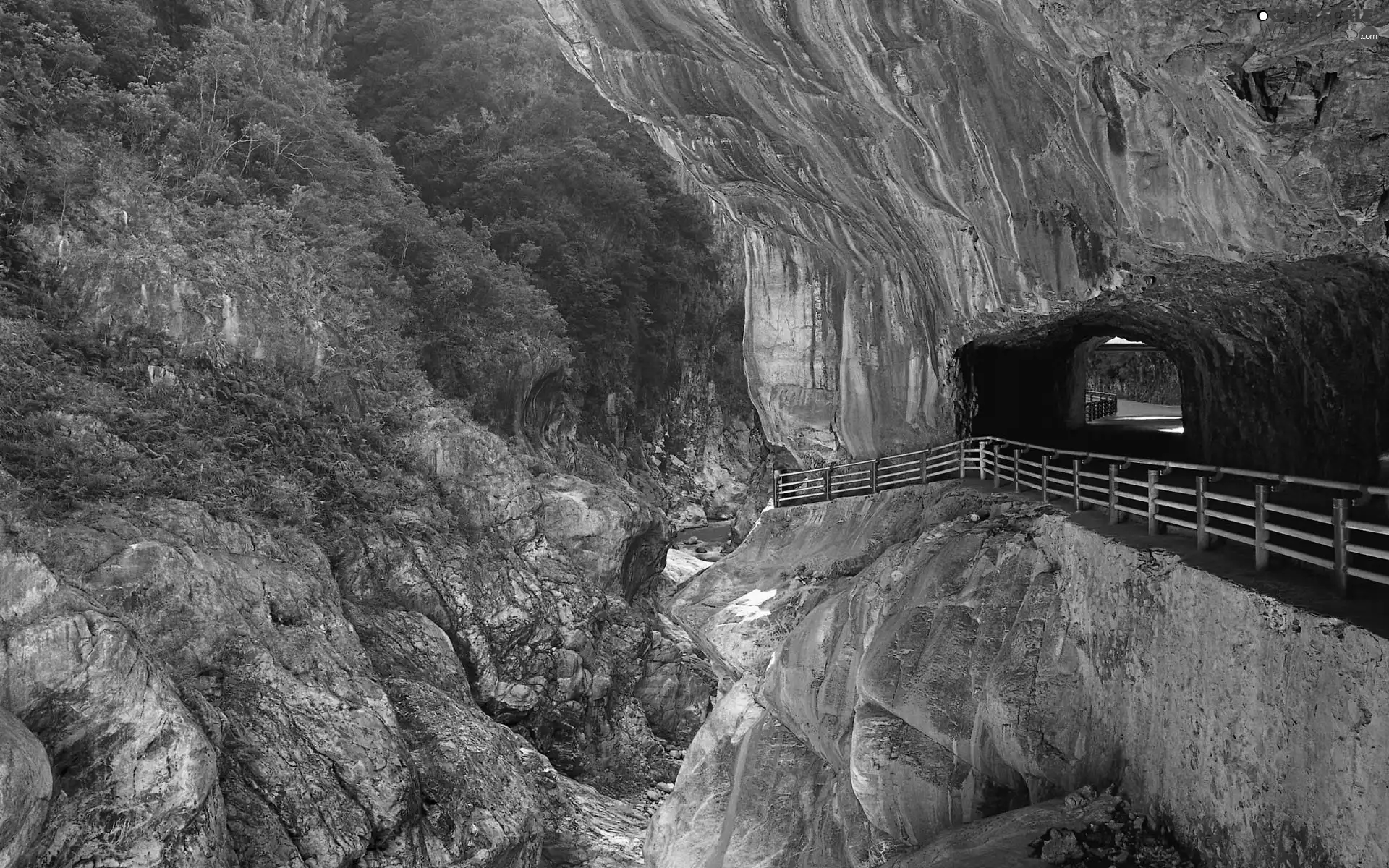 rocks, trees, viewes, bridges