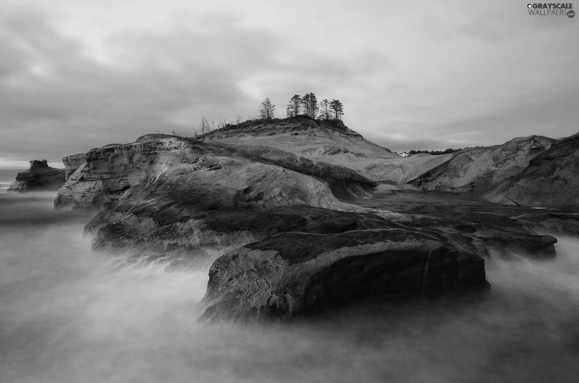 rocks, trees, viewes, sea