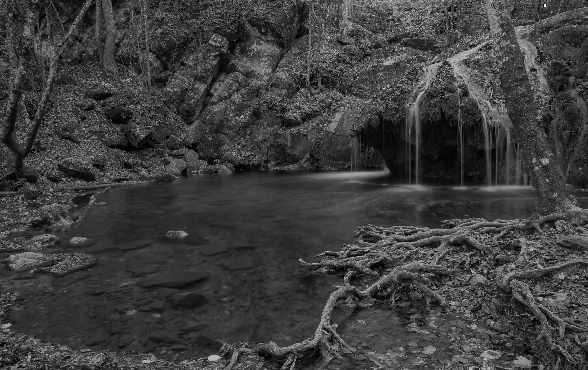 River, trees, Rocks, viewes, forest, Mossy, waterfall