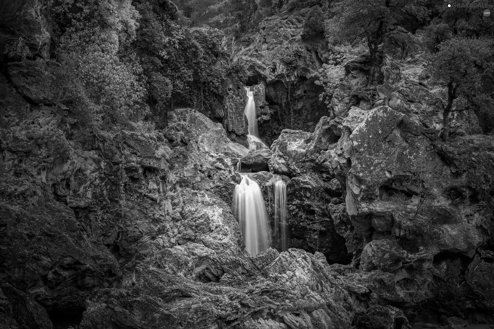 trees, viewes, rocks, Plants, waterfall