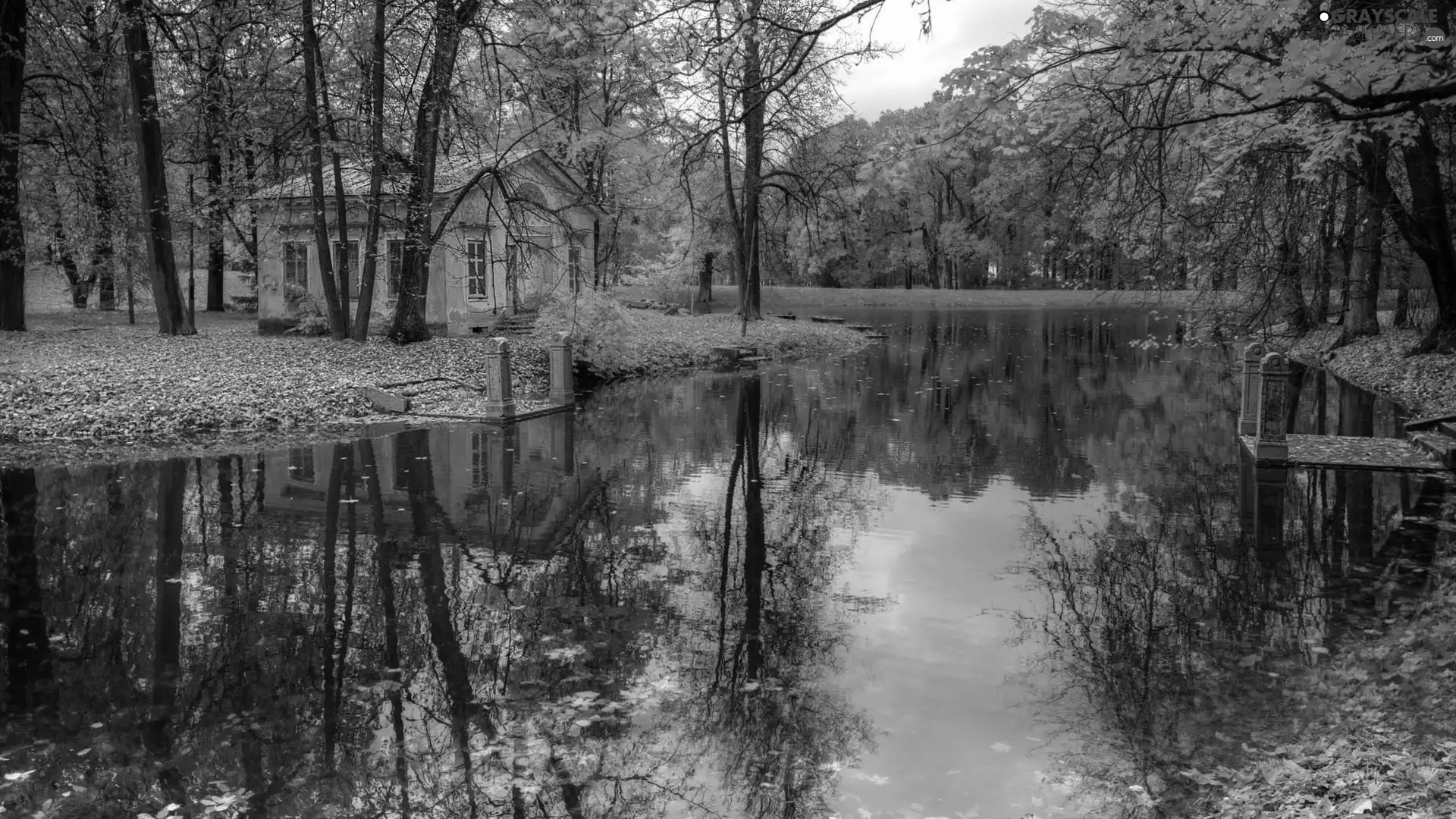 St. Petersburg, Russia, Tsarskoye Selo, autumn, Pond - car, Home, viewes, Park, trees