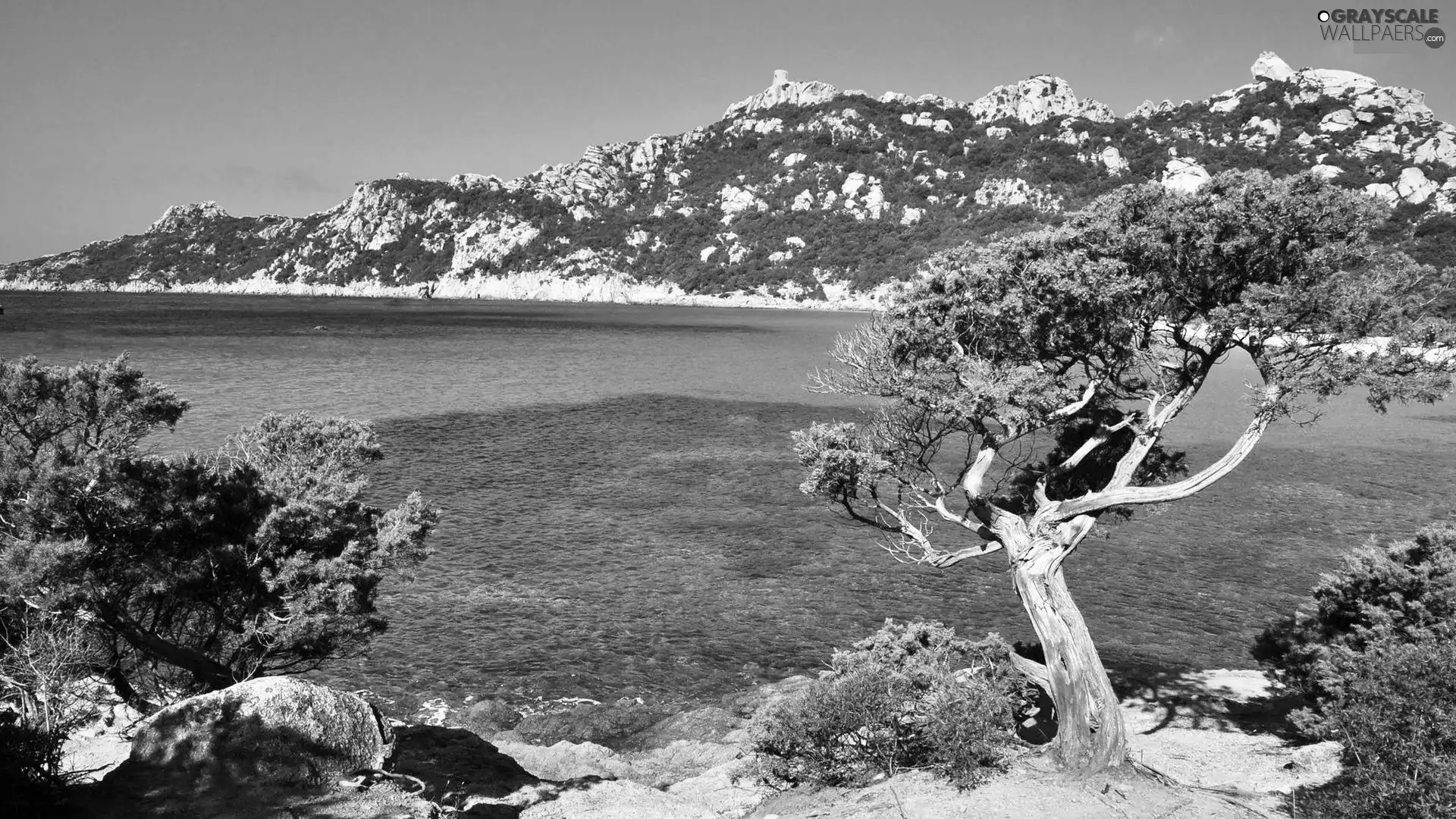 sea, trees, viewes, rocks