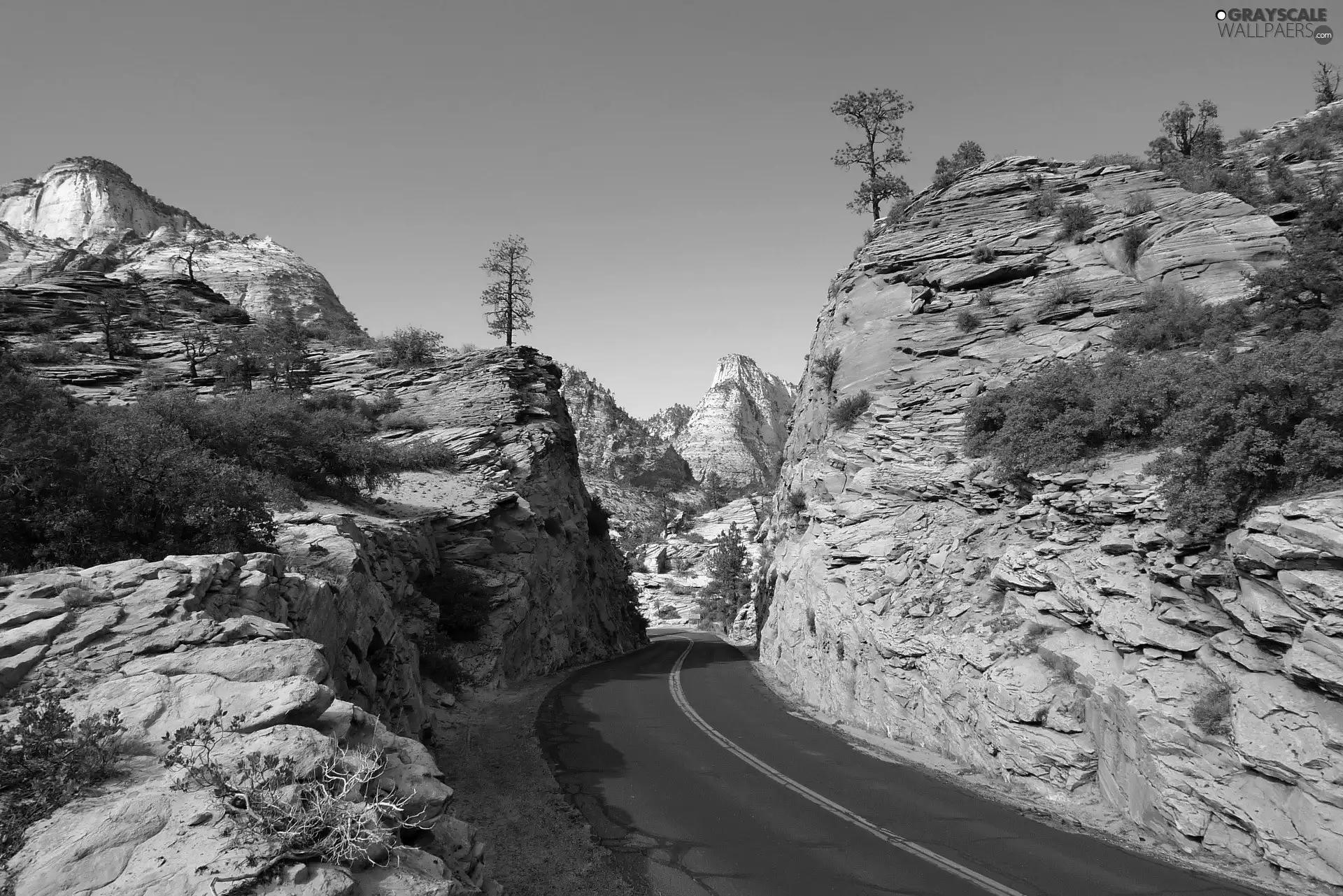 viewes, Sky, Way, trees, rocks