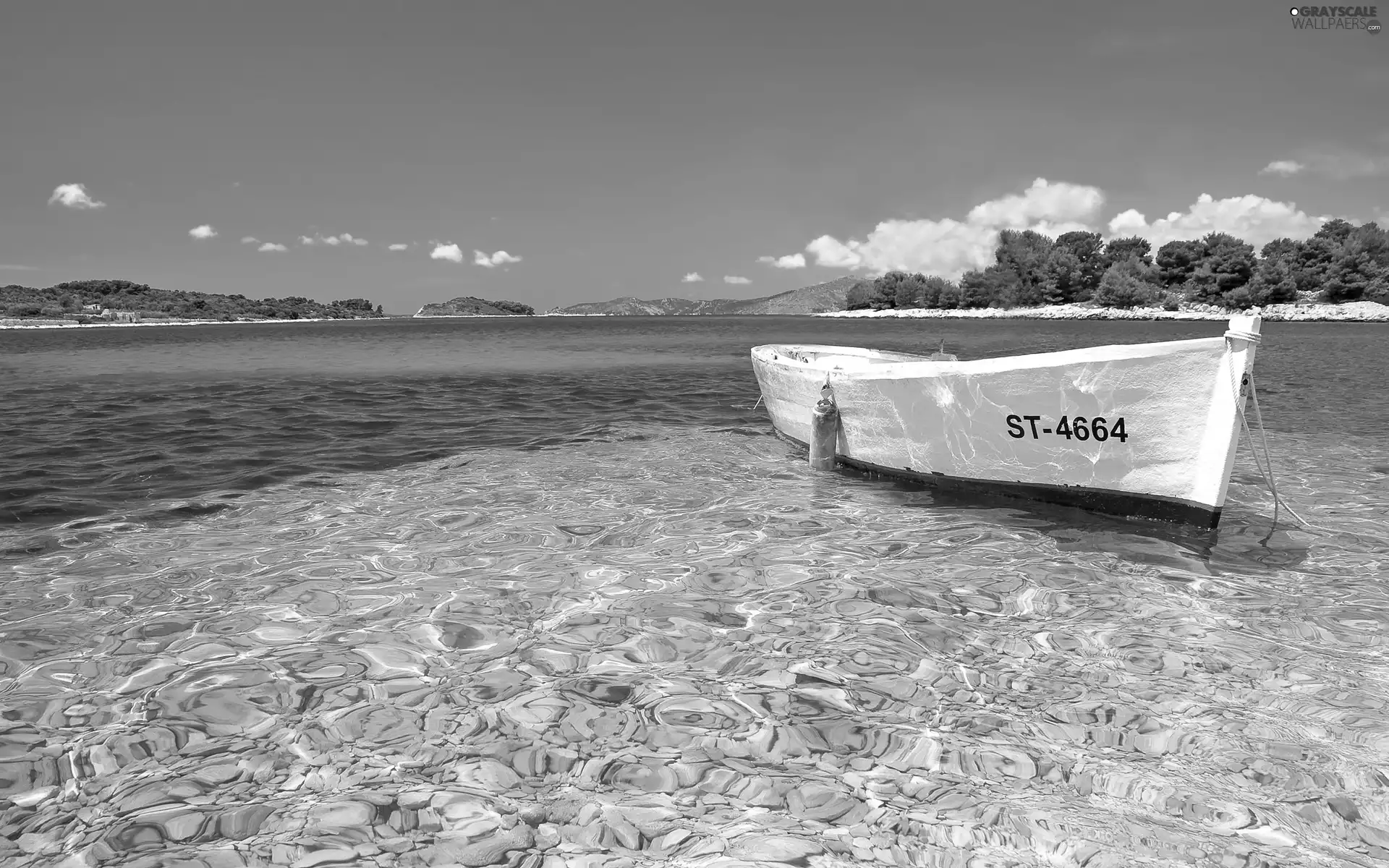 viewes, Sky, Boat, trees, sea