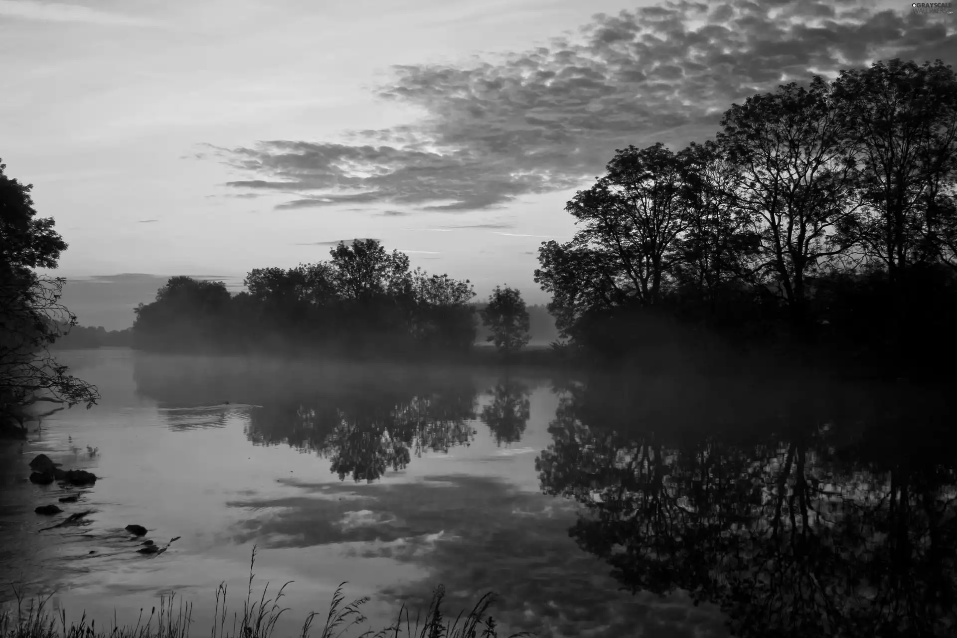 Sky, trees, viewes, water