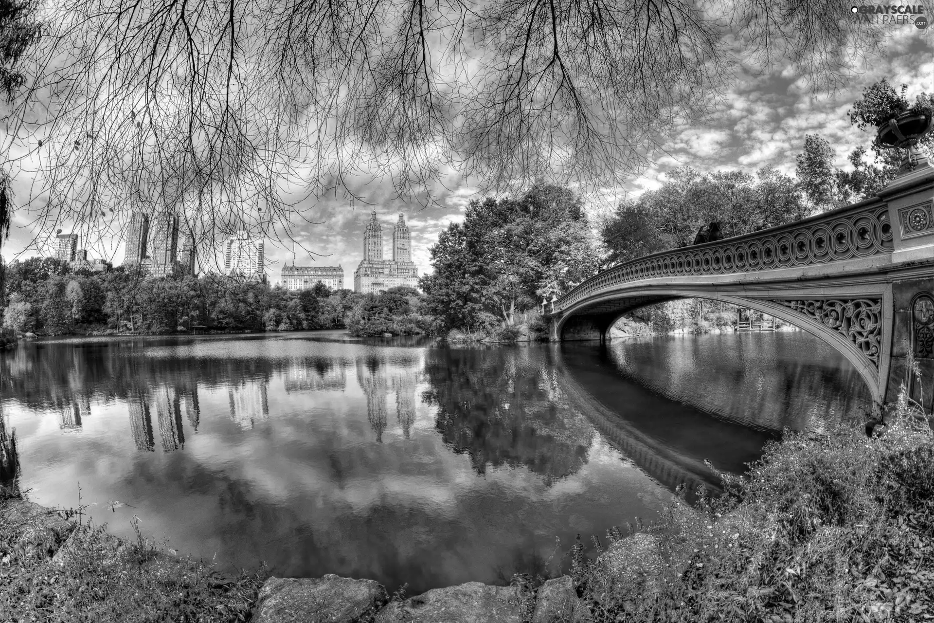 color, River, viewes, skyscrapers, trees, bridge