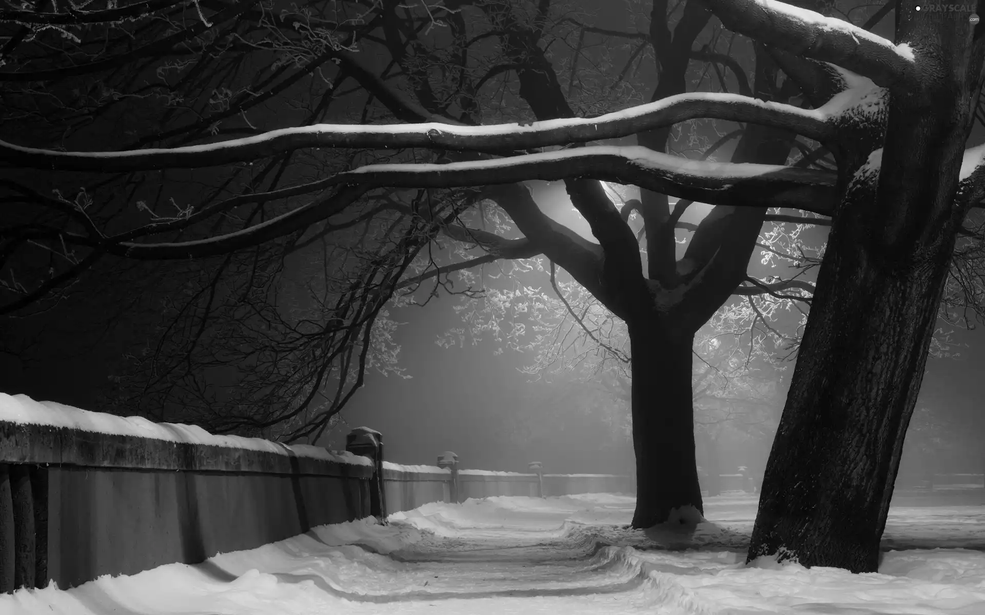 viewes, snow, Path, trees, fence