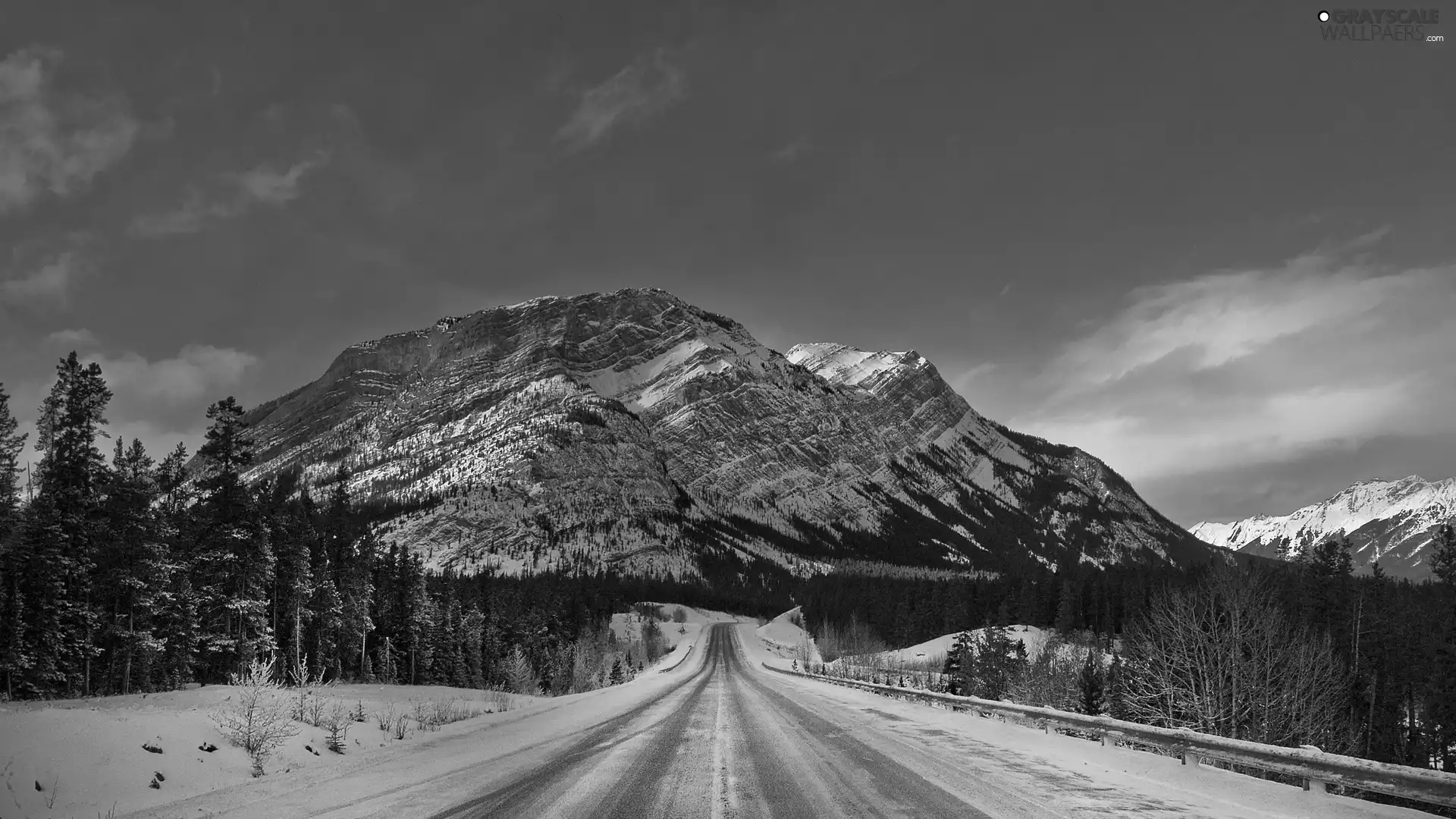 viewes, snow, Way, trees, mountains