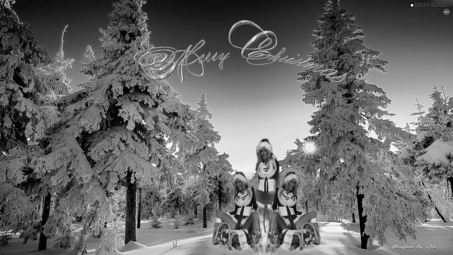 snow, trees, viewes, Thanksgiving