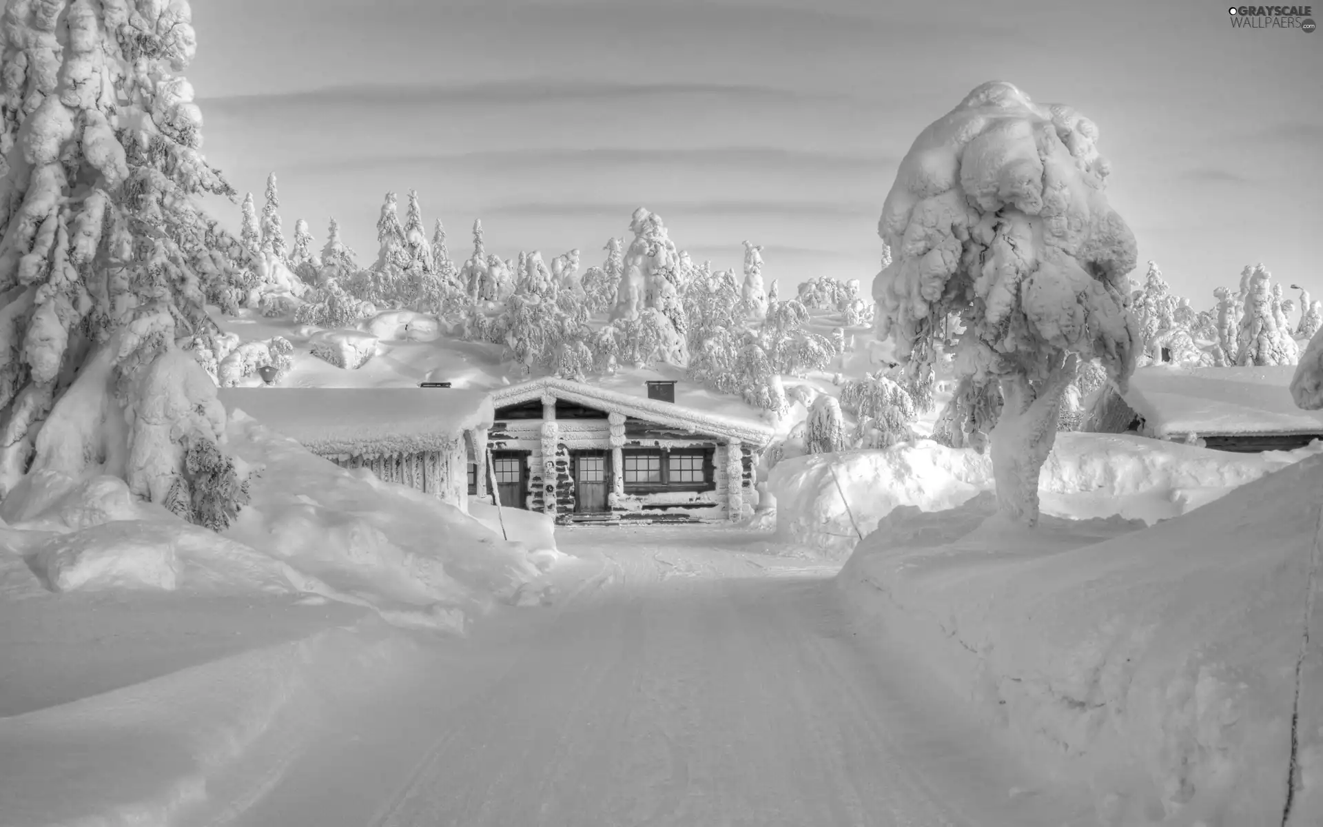 viewes, snow, Home, trees, Way