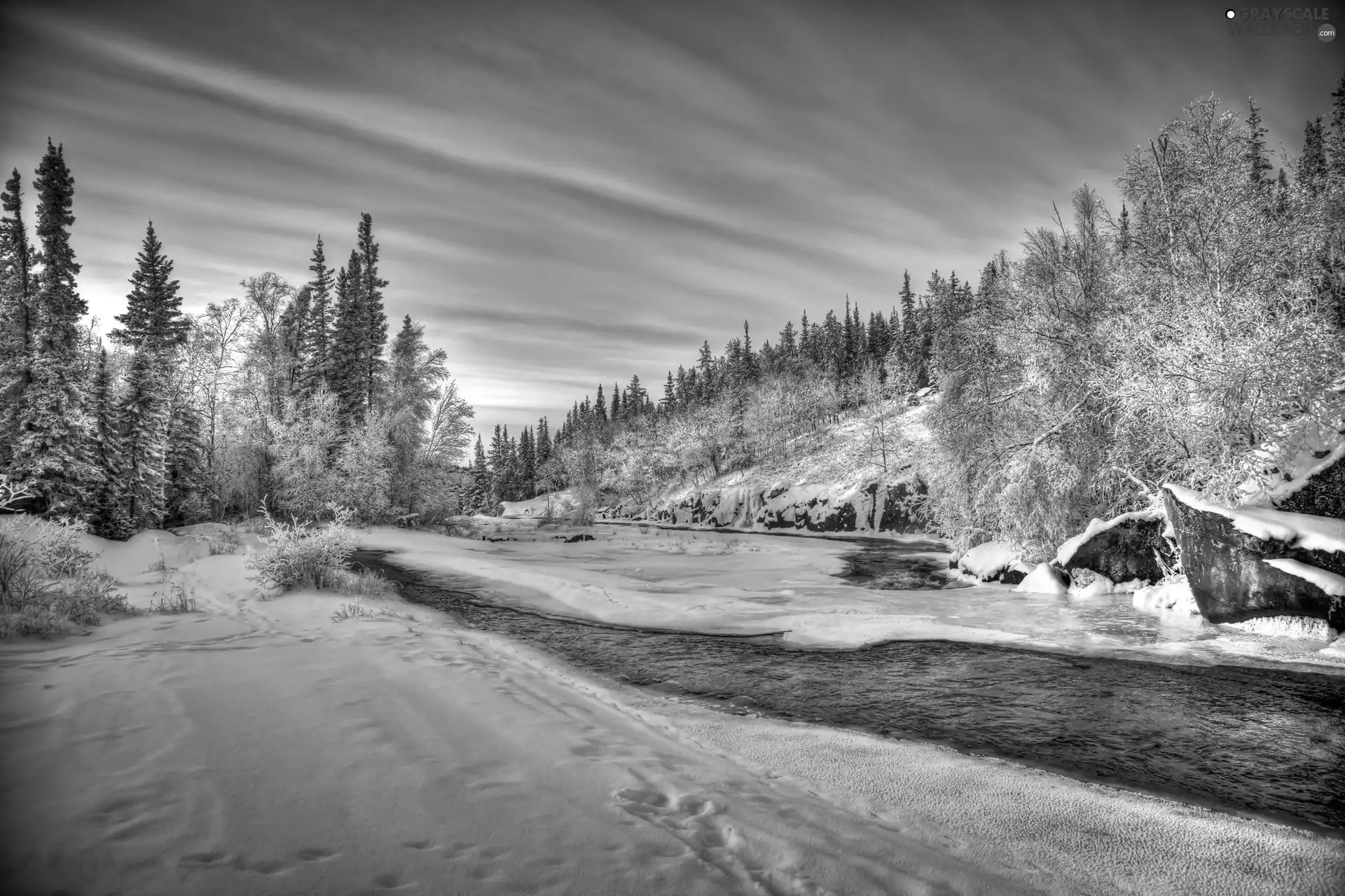 viewes, snow, River, trees, winter