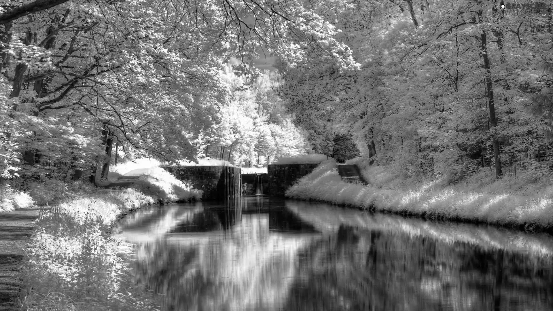 viewes, snow, River, trees, winter