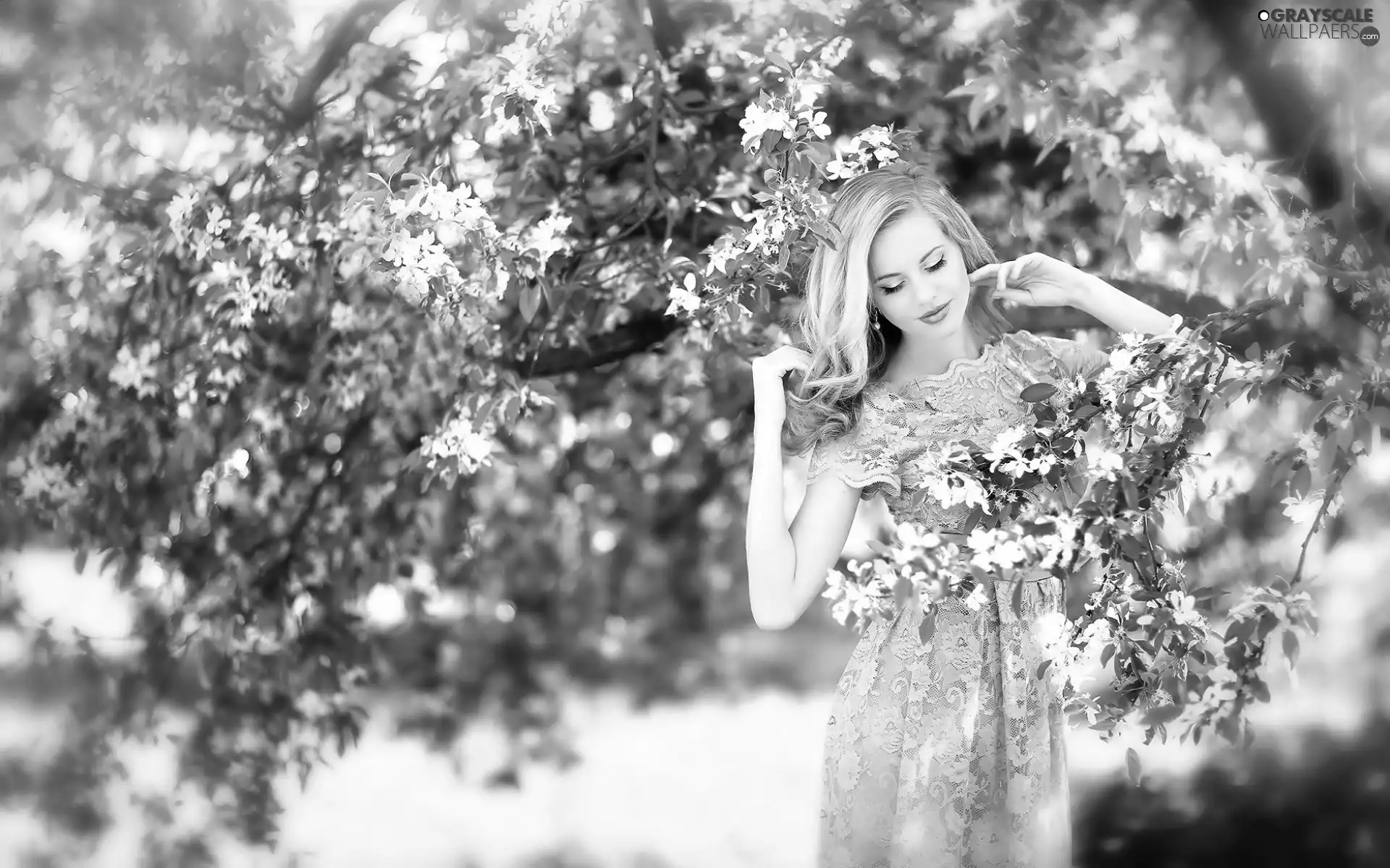 viewes, Spring, flourishing, trees, Women