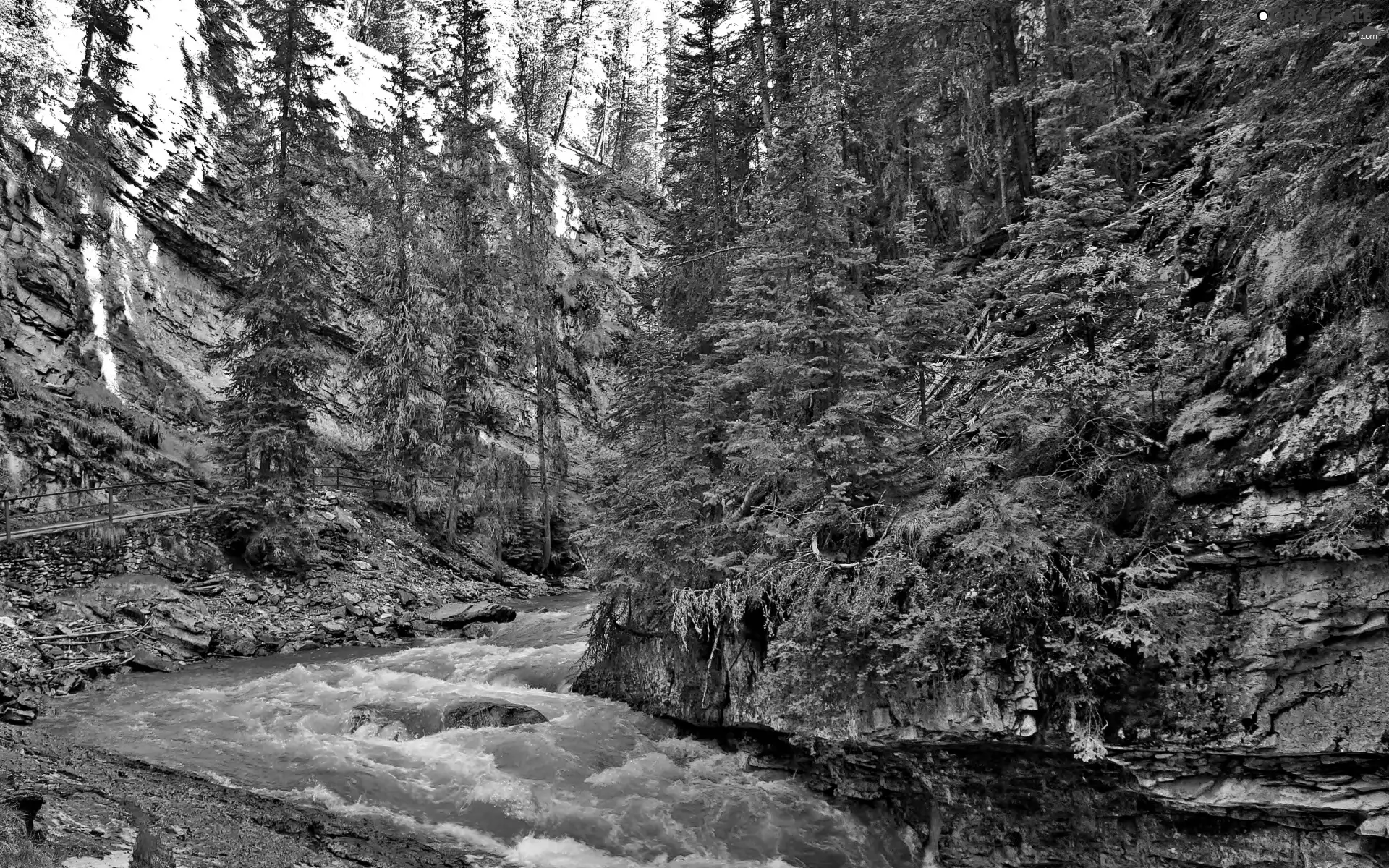 Stones, Mountains, viewes, Spruces, trees, River