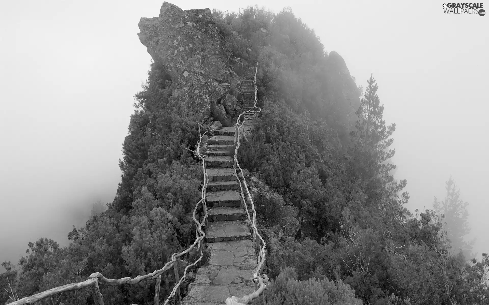 viewes, Stairs, rocks, trees, mountains
