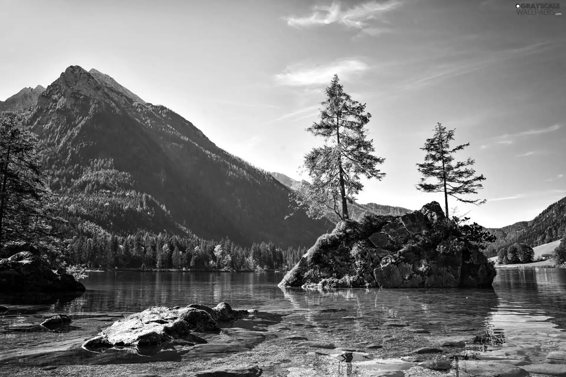 trees, lake, bottom, rocks, Mountains, viewes, Stones