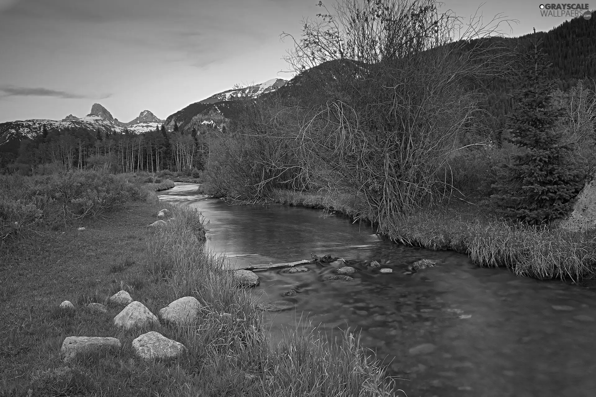 grass, River, viewes, Stones, trees, Mountains