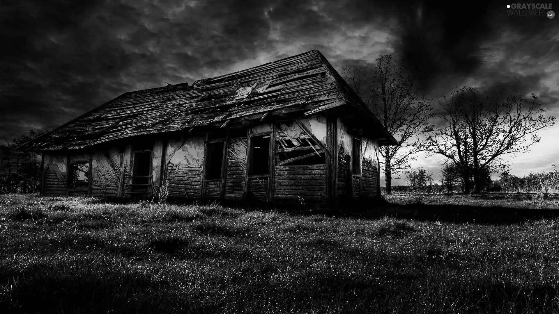 trees, house, clouds, ruin, abandoned, viewes, storm