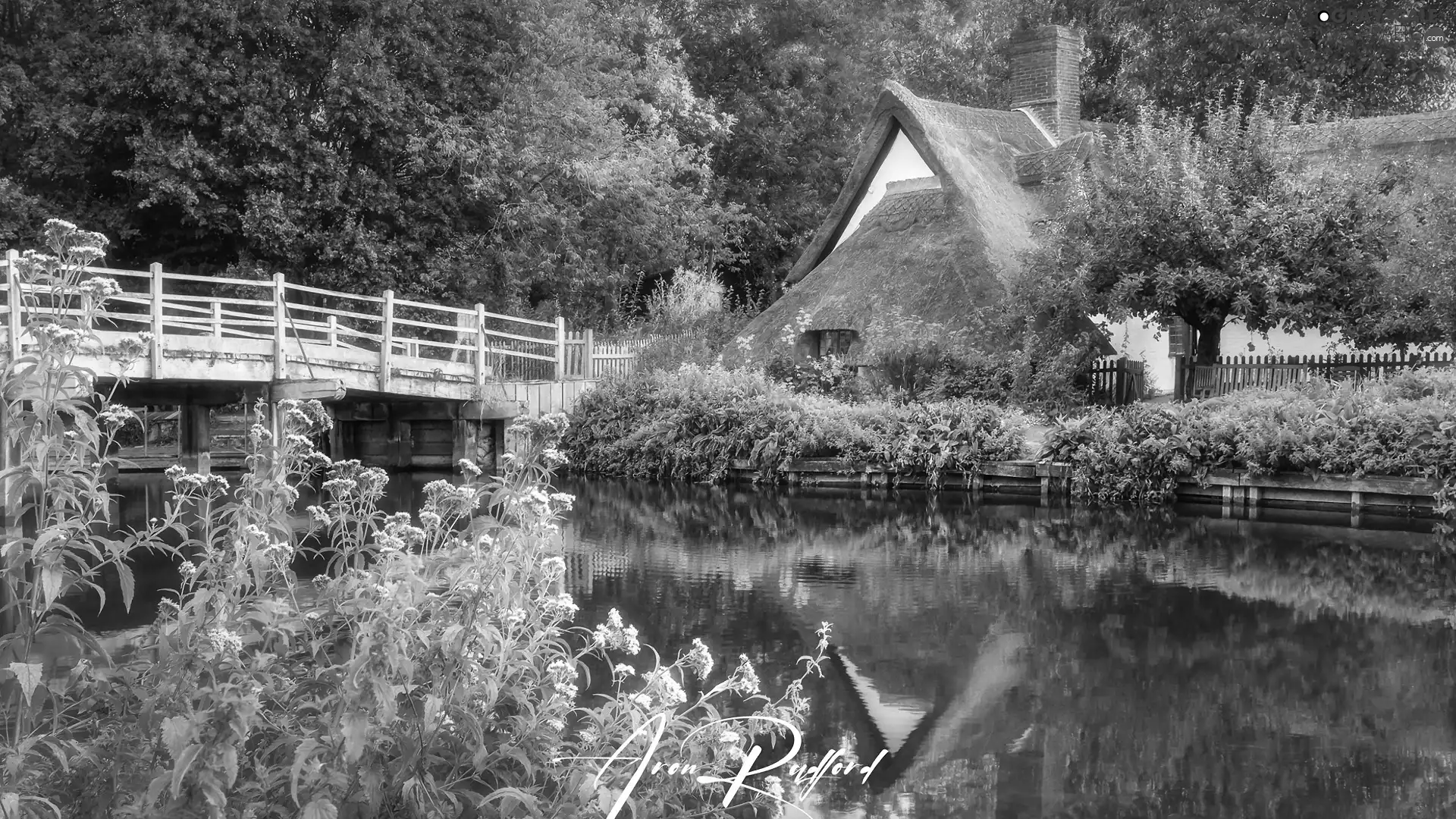 Flowers, house, summer, trees, bridge, grass, River, viewes